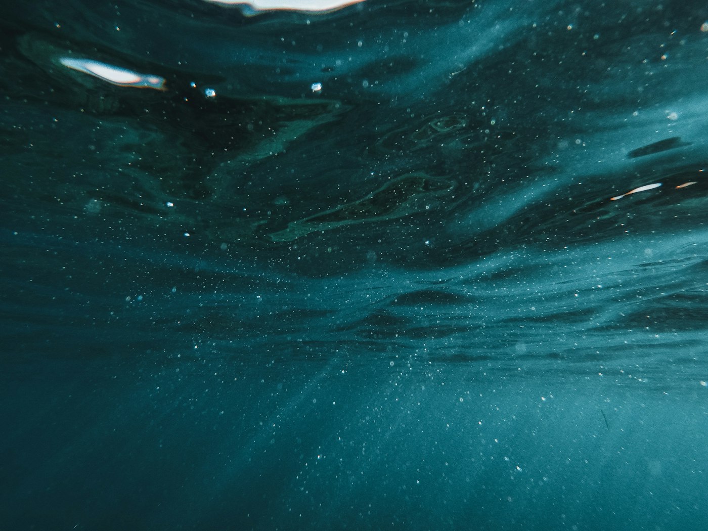 Into the Waters with Us | Desiring God