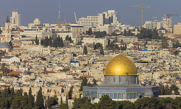 download literature guide to the glc of body