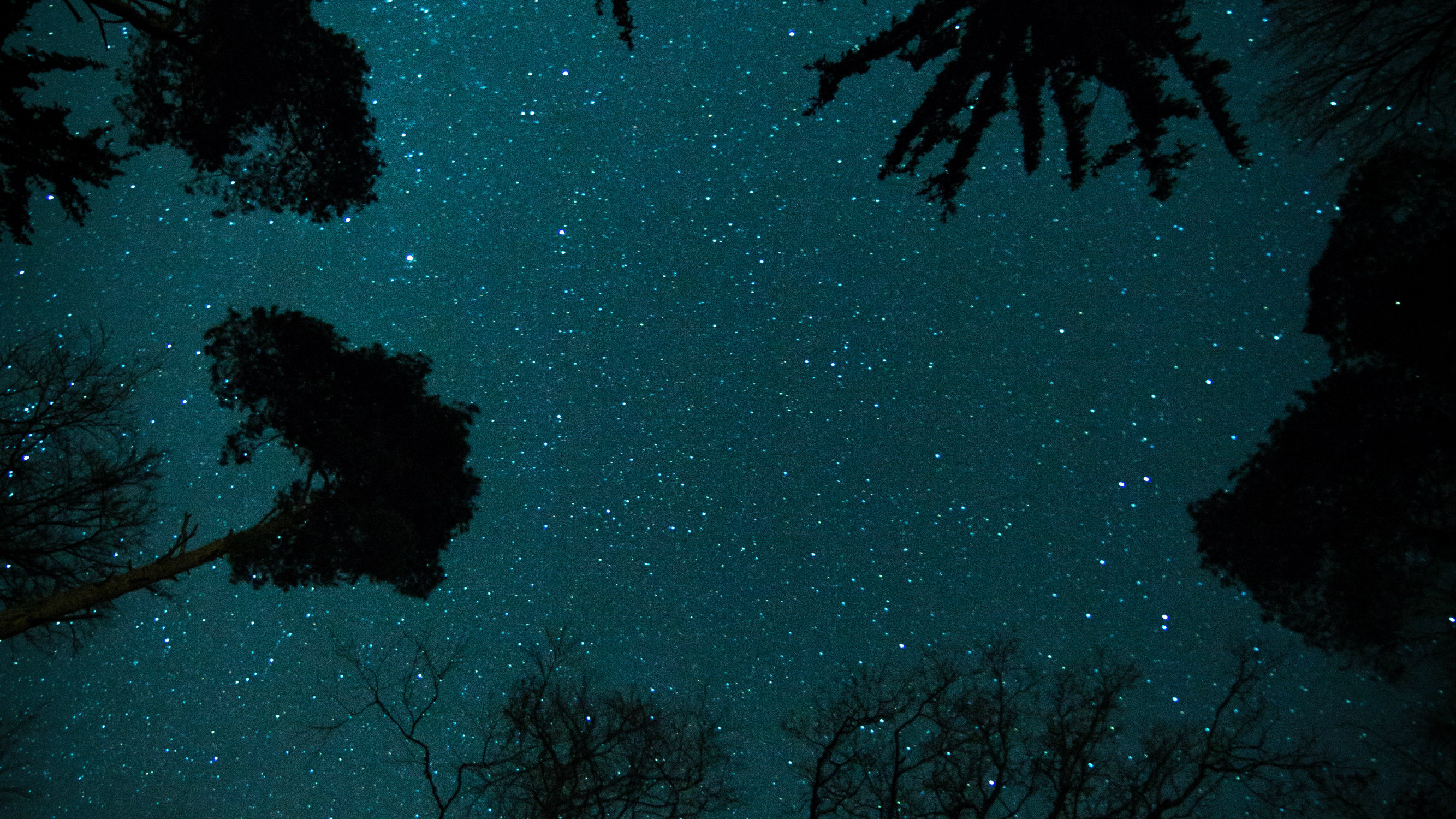 In the Beginning Was God: Where Atheists Go Wrong
