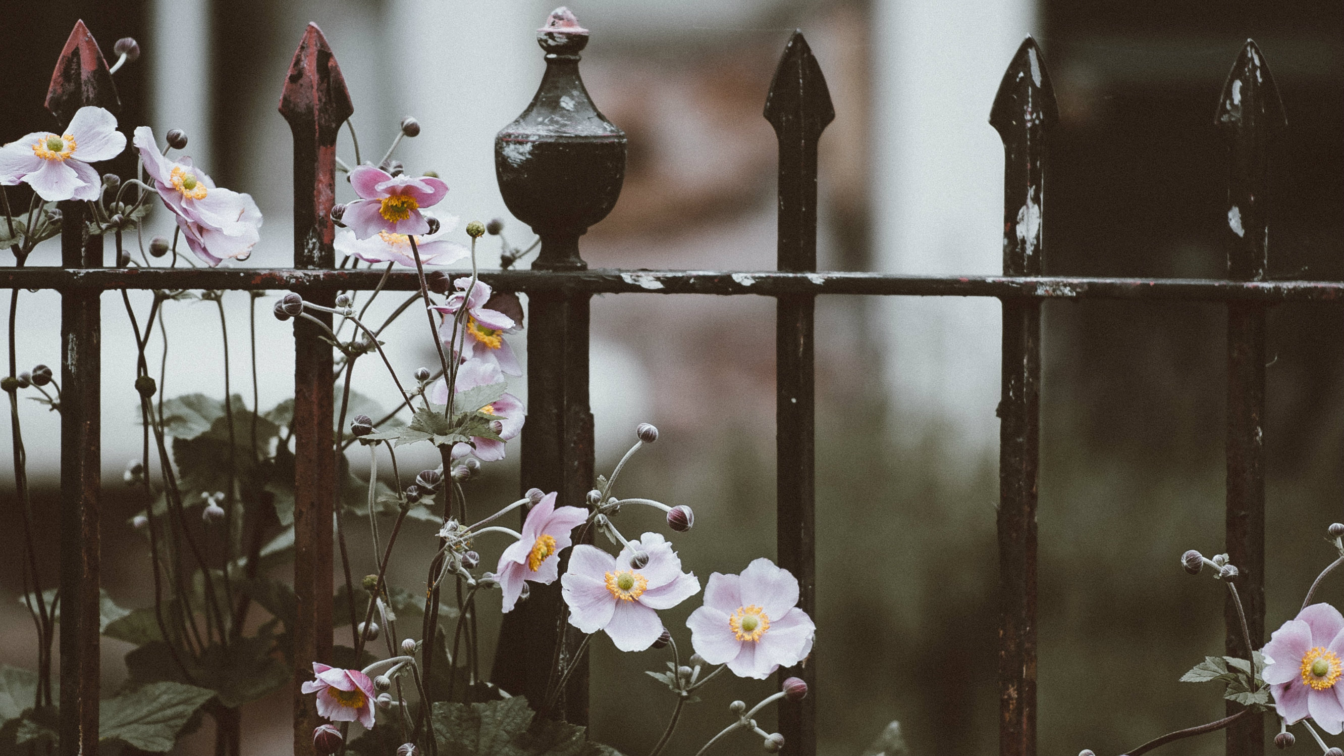Jesus Isn’t Your Insurance Policy