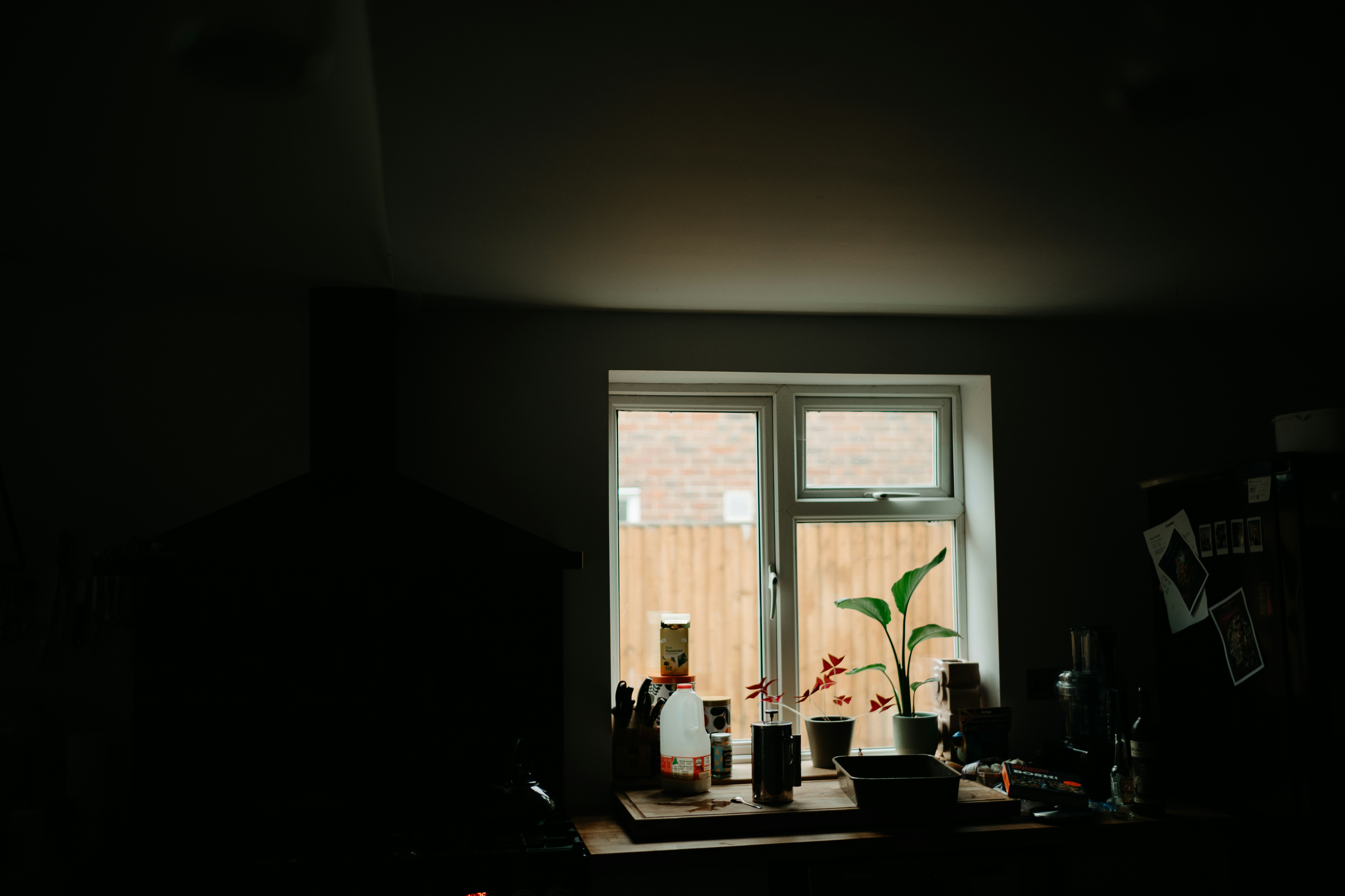 Jesus Knows the Sting of Ingratitude