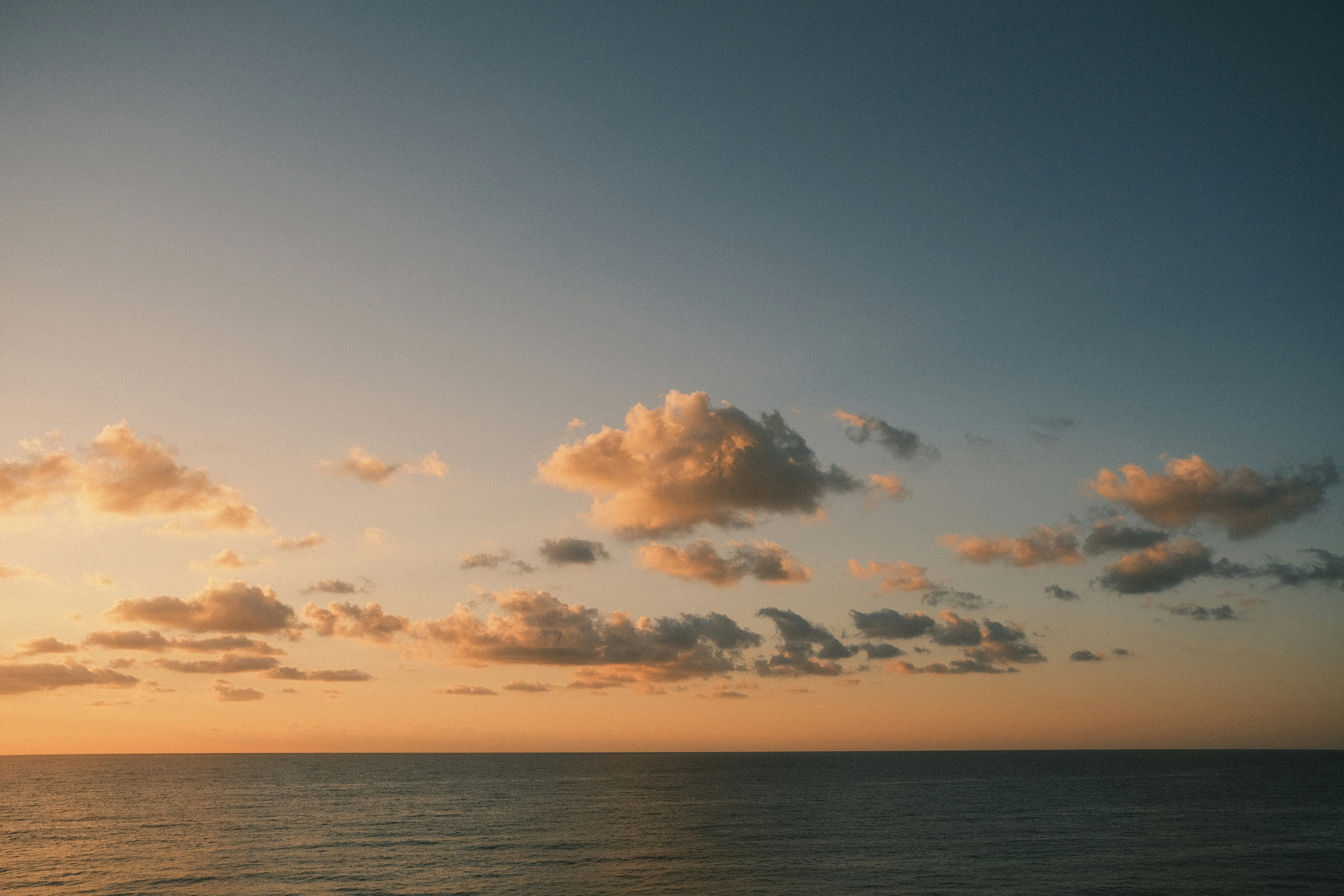 Joy: The Gigantic Secret of Reality