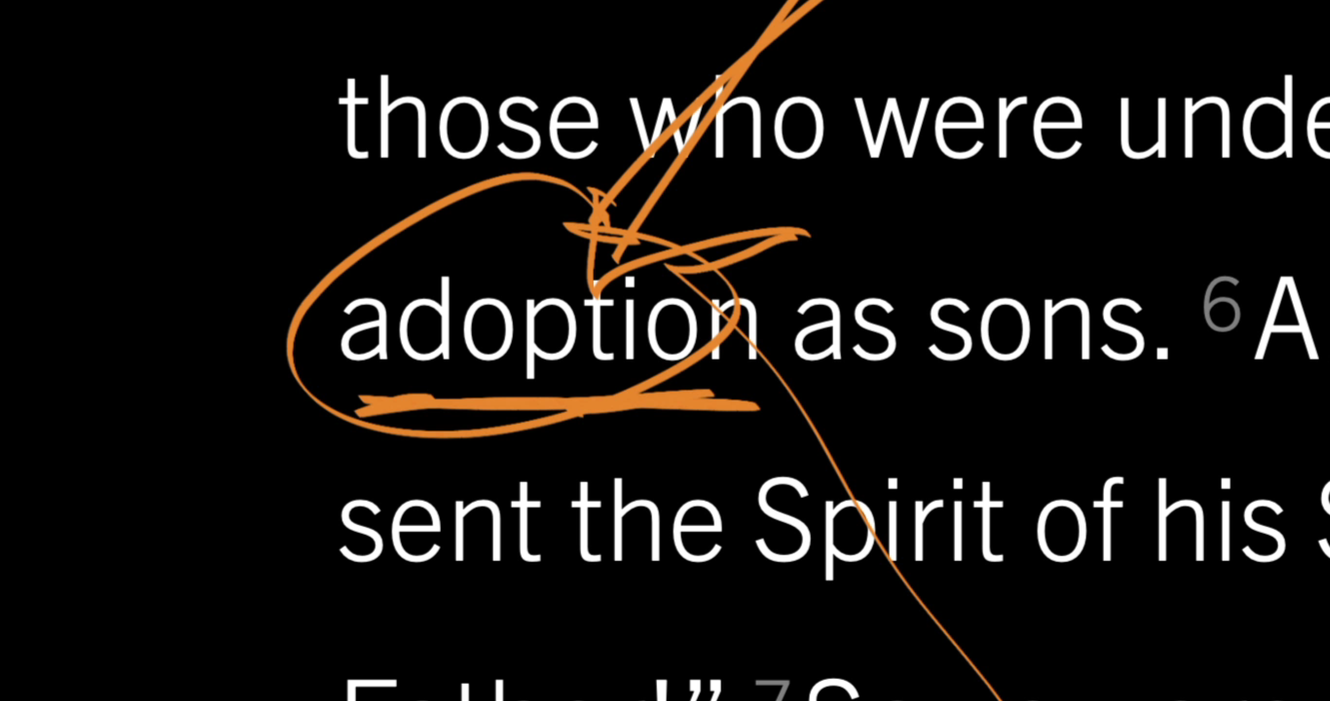 Justified by Grace in Hope of Eternal Life: Titus 3:4–7, Part 7