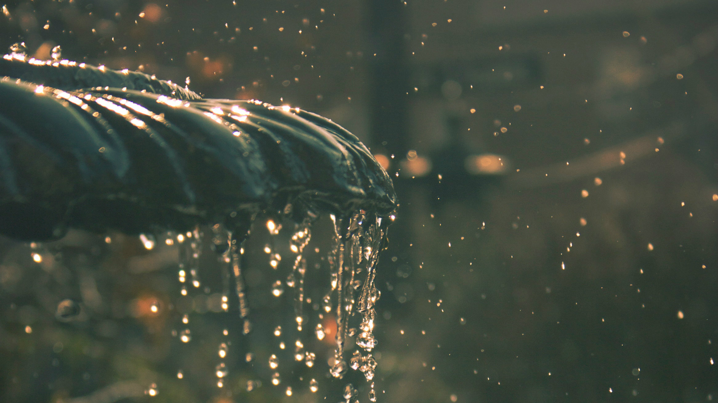 Living by Faith in Future Grace