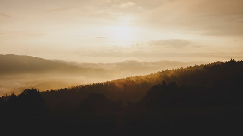 Lord, Make Us Diligent and Desperate