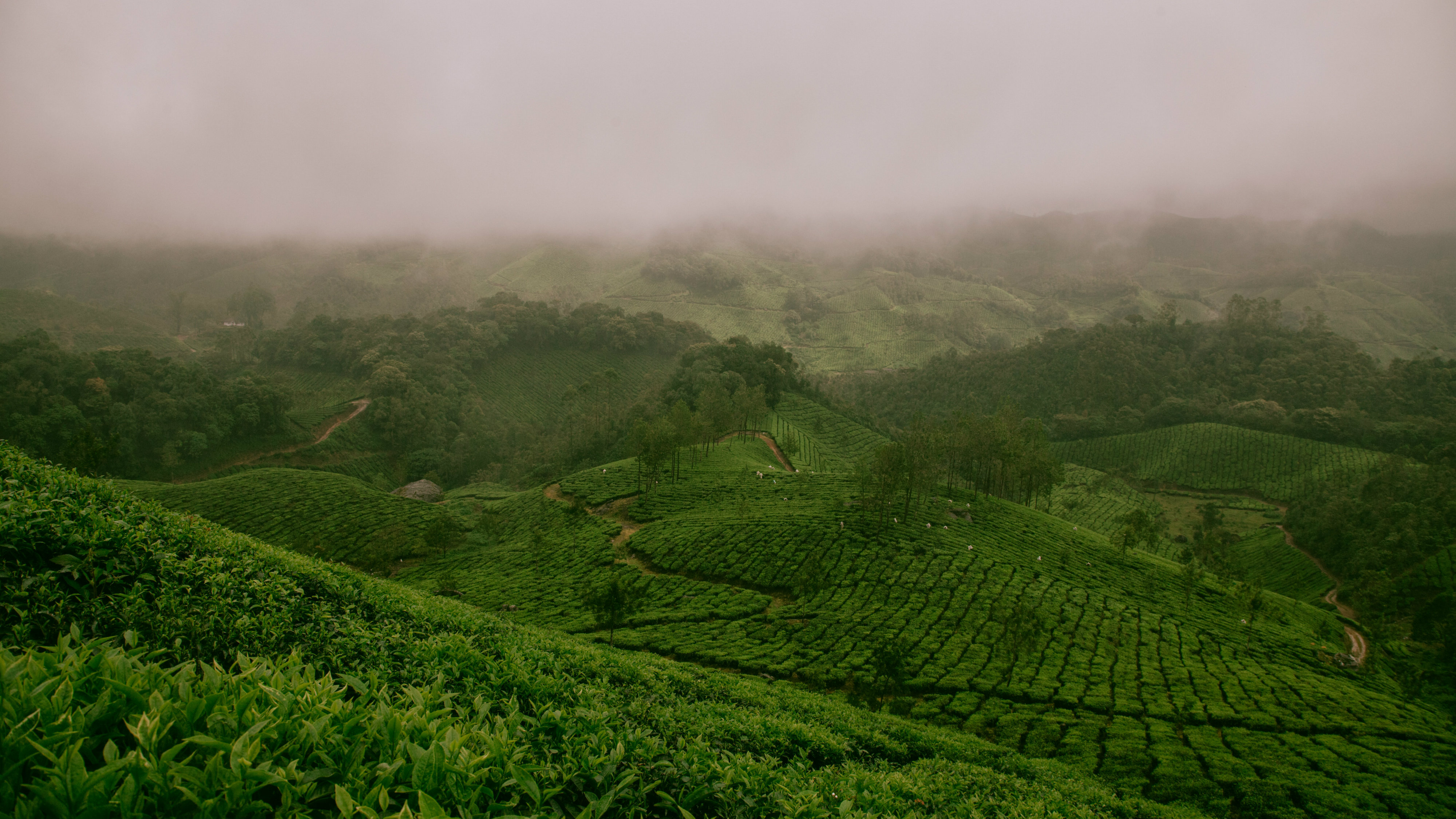 Lord, Teach Us to Fight: The Double Battle in Gethsemane