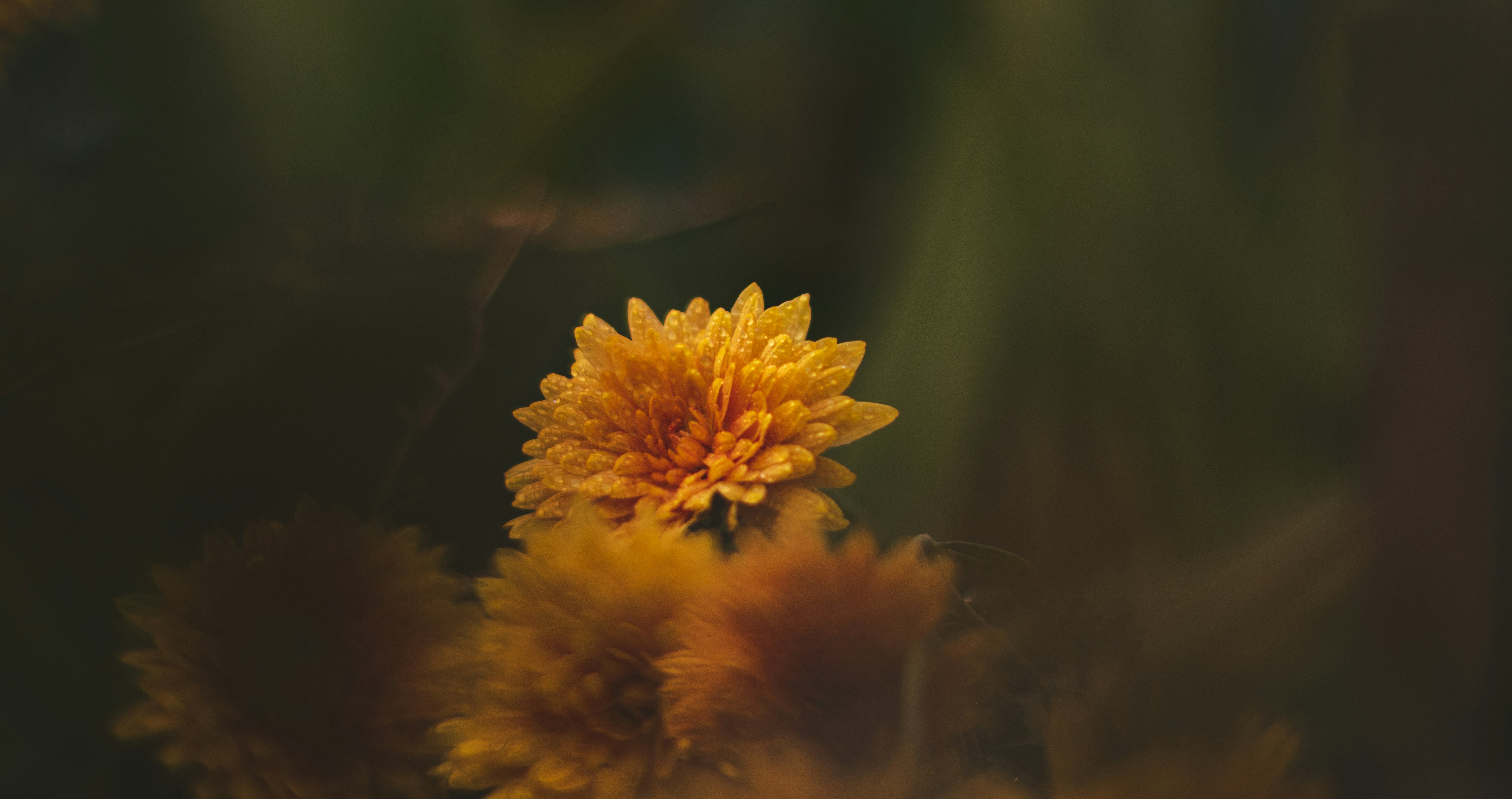 Marriage Survival After Betrayal