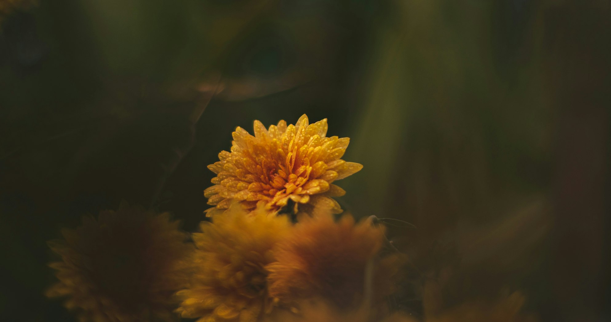 Marriage Survival After Betrayal | Desiring God