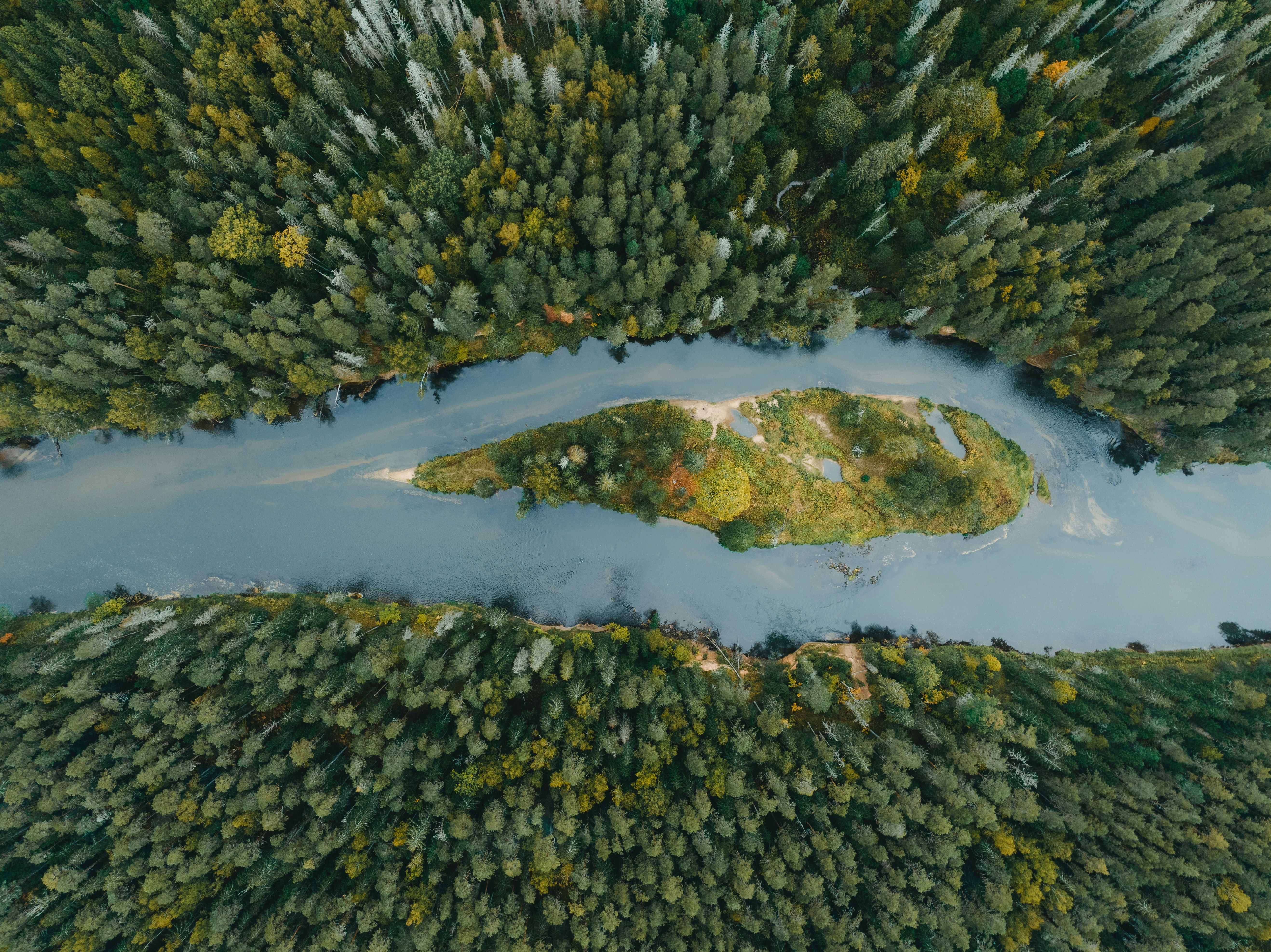 Missionaries Go with the Flow of History