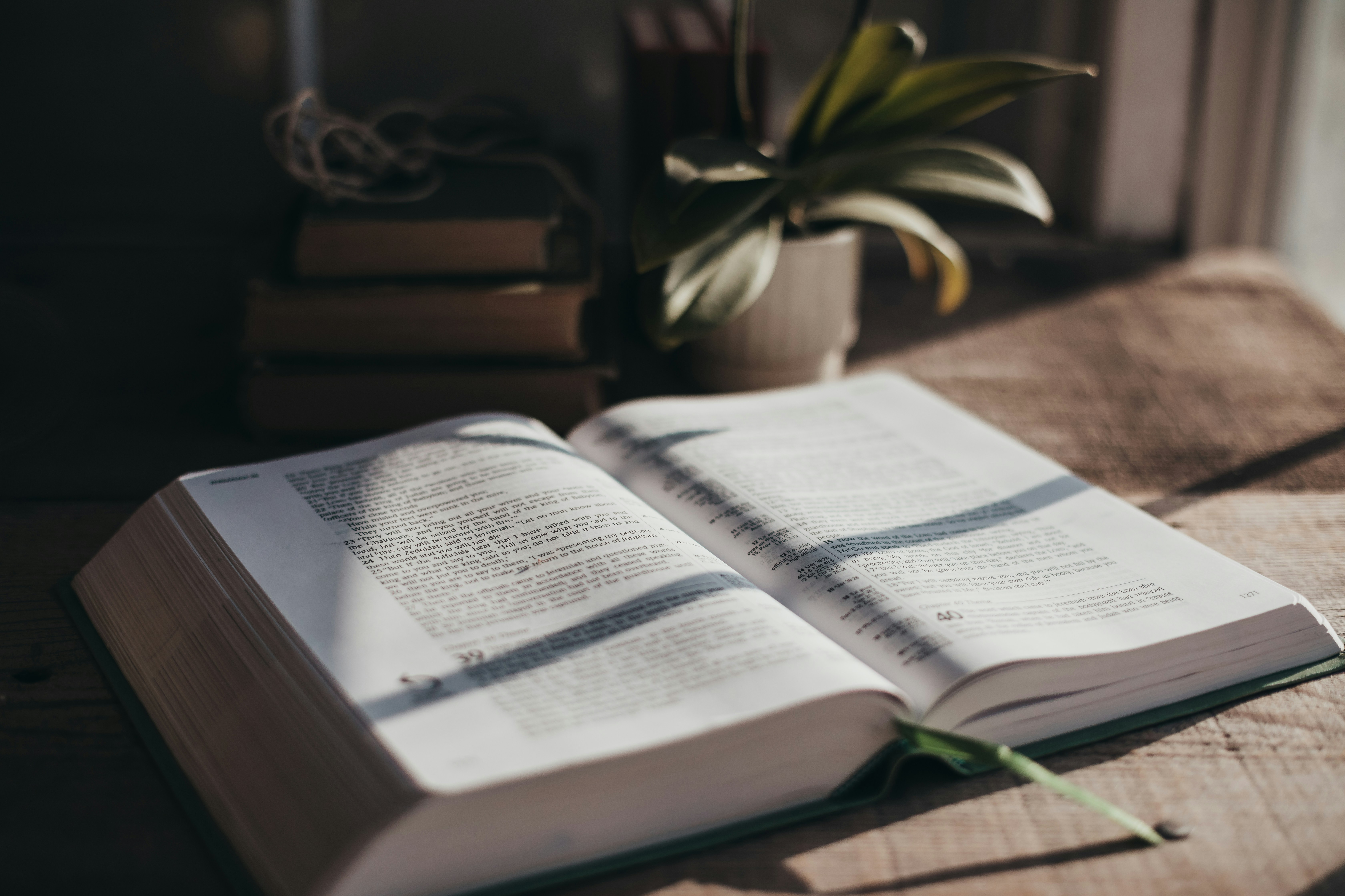 My Bible Reading Feels Flat — What Can I Do? | Desiring God