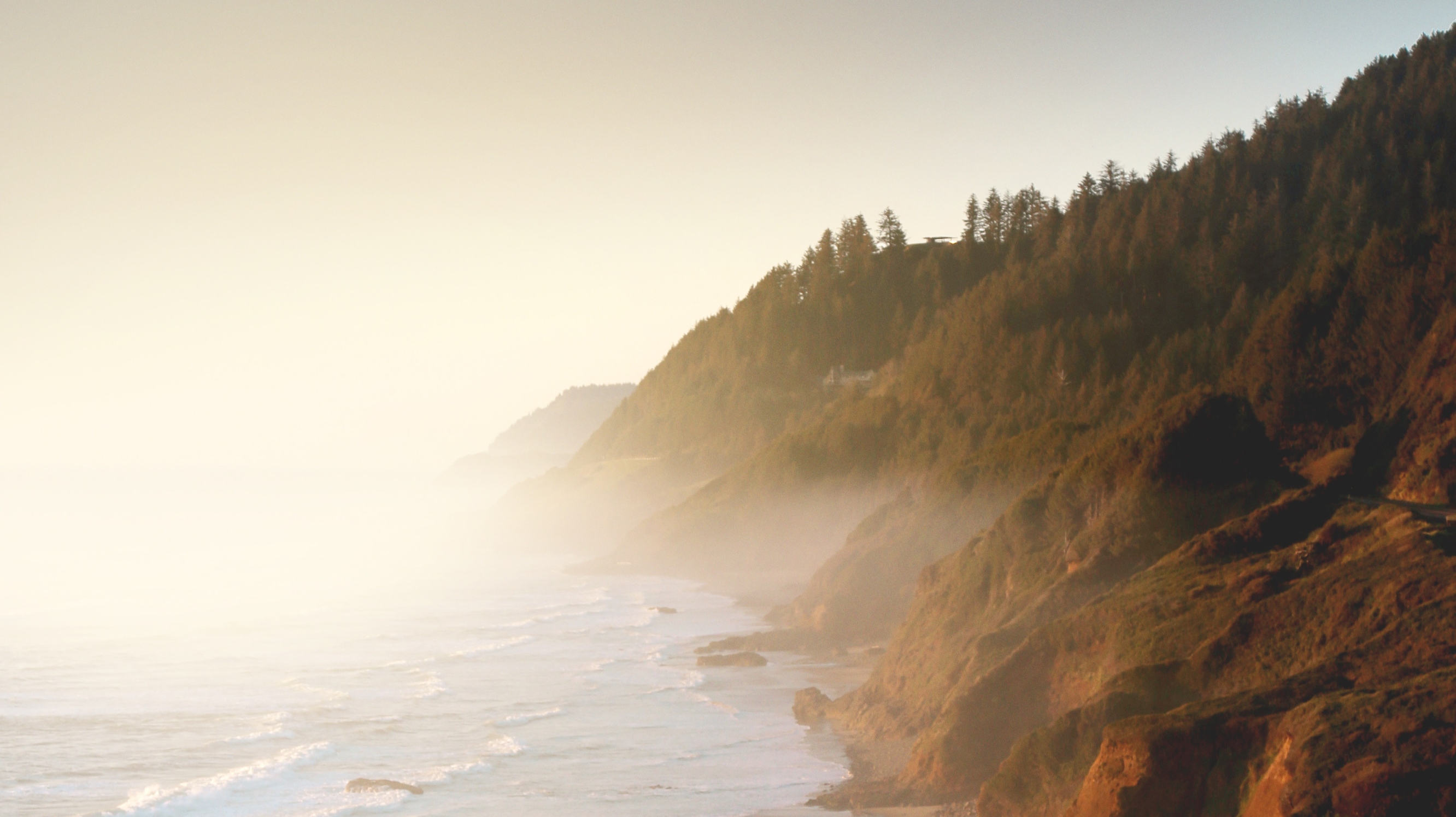 My Peace I Give to You