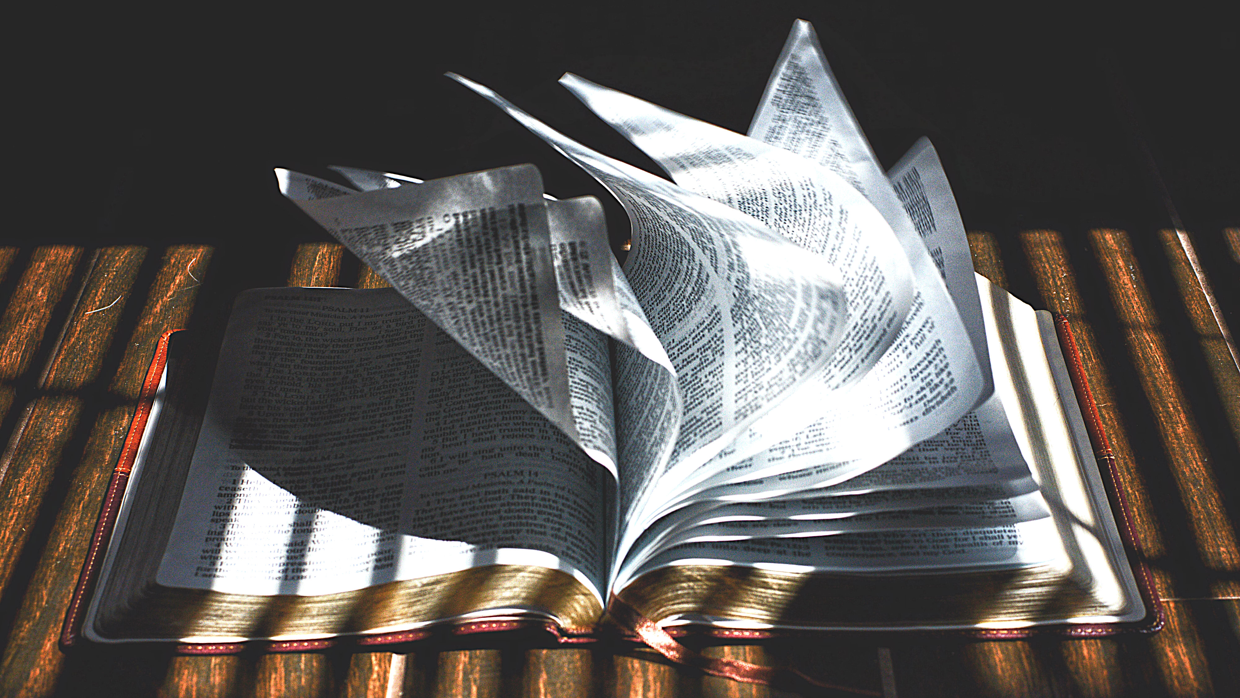 No Bible, No Gospel, No Jesus