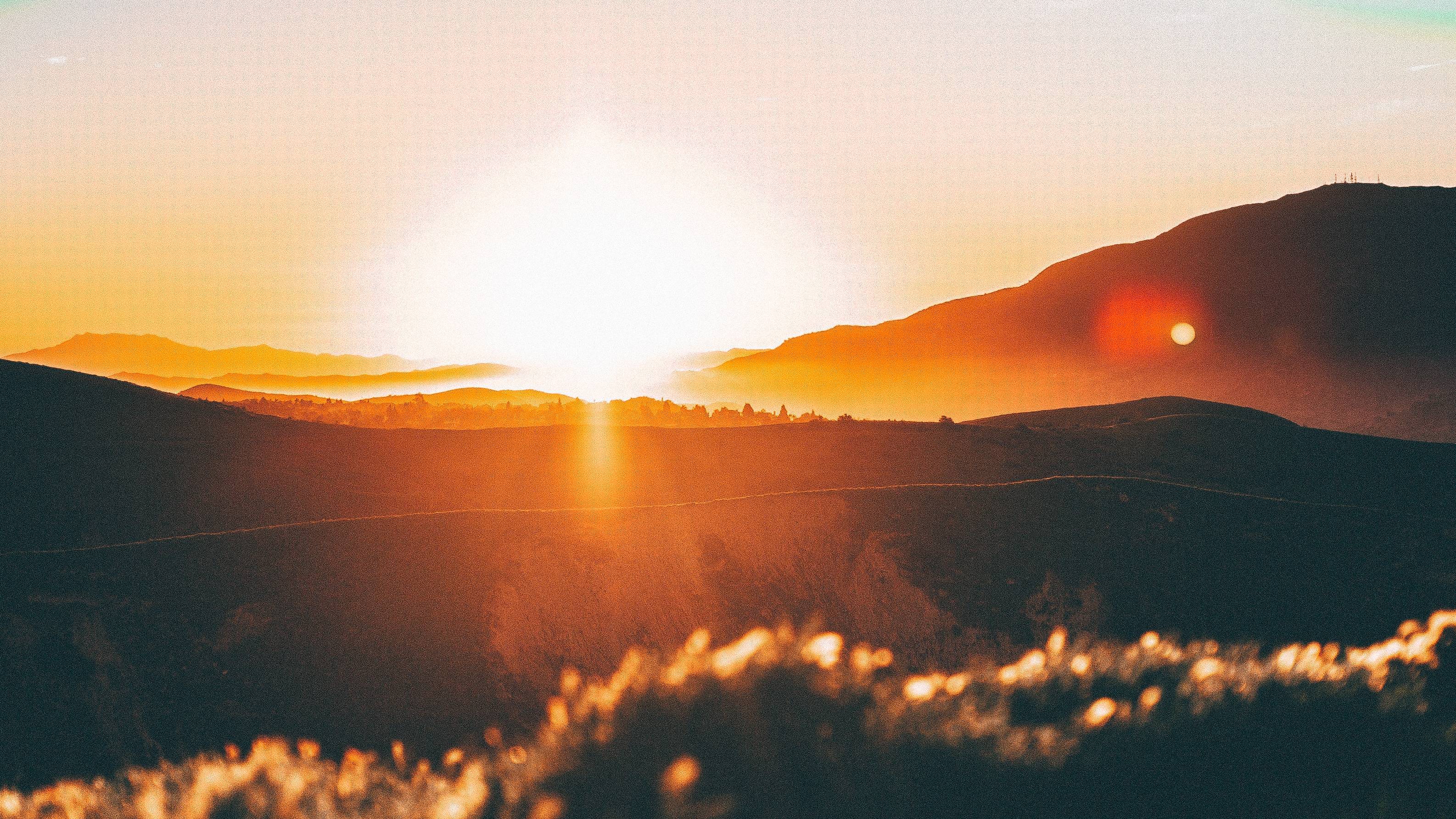 No One Born of God Makes a Practice of Sinning