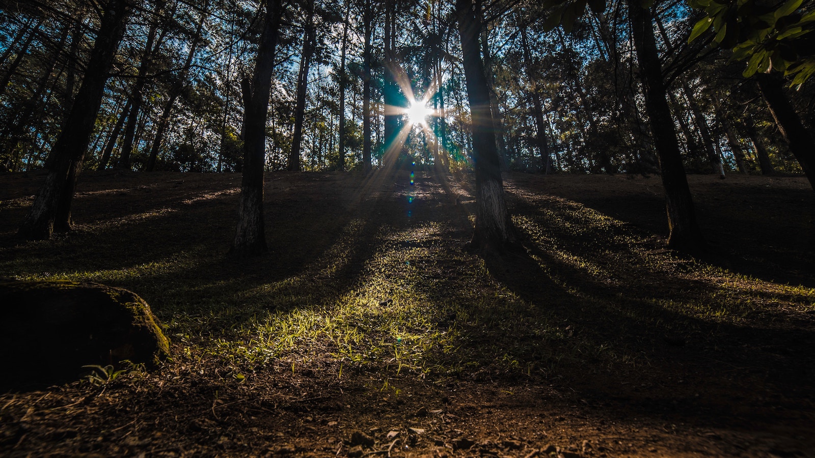 Our Hope: The Redemption of Our Bodies