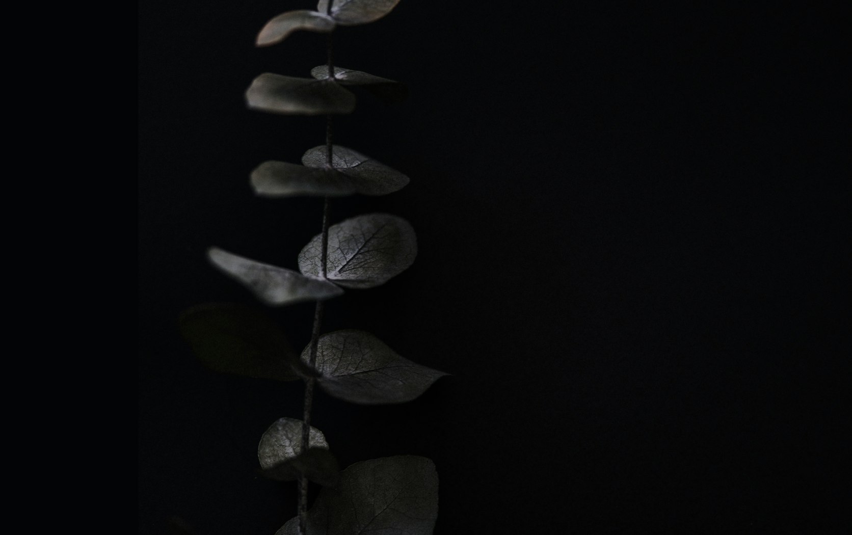 What Is A Daily Devotional Bible What Is A Daily Devotional Bible