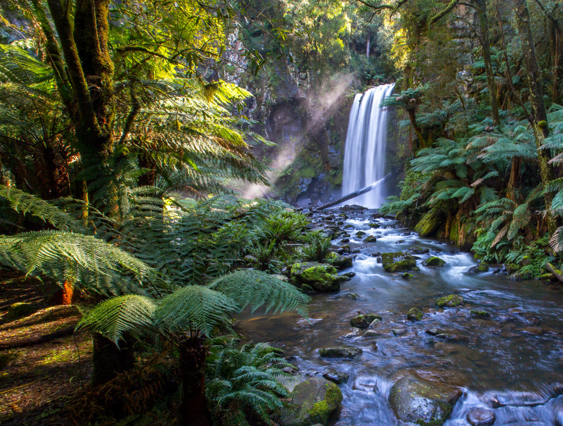 Prayer: How to Do the Humanly Impossible