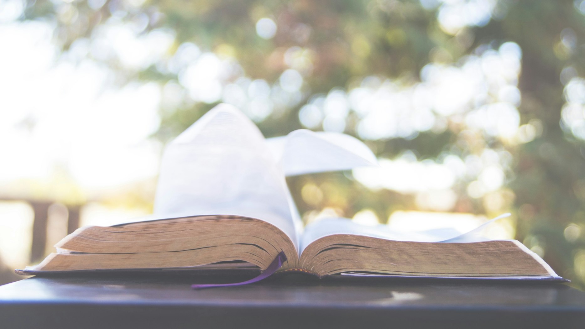Preaching: Zeal That Accords with Knowledge | Desiring God