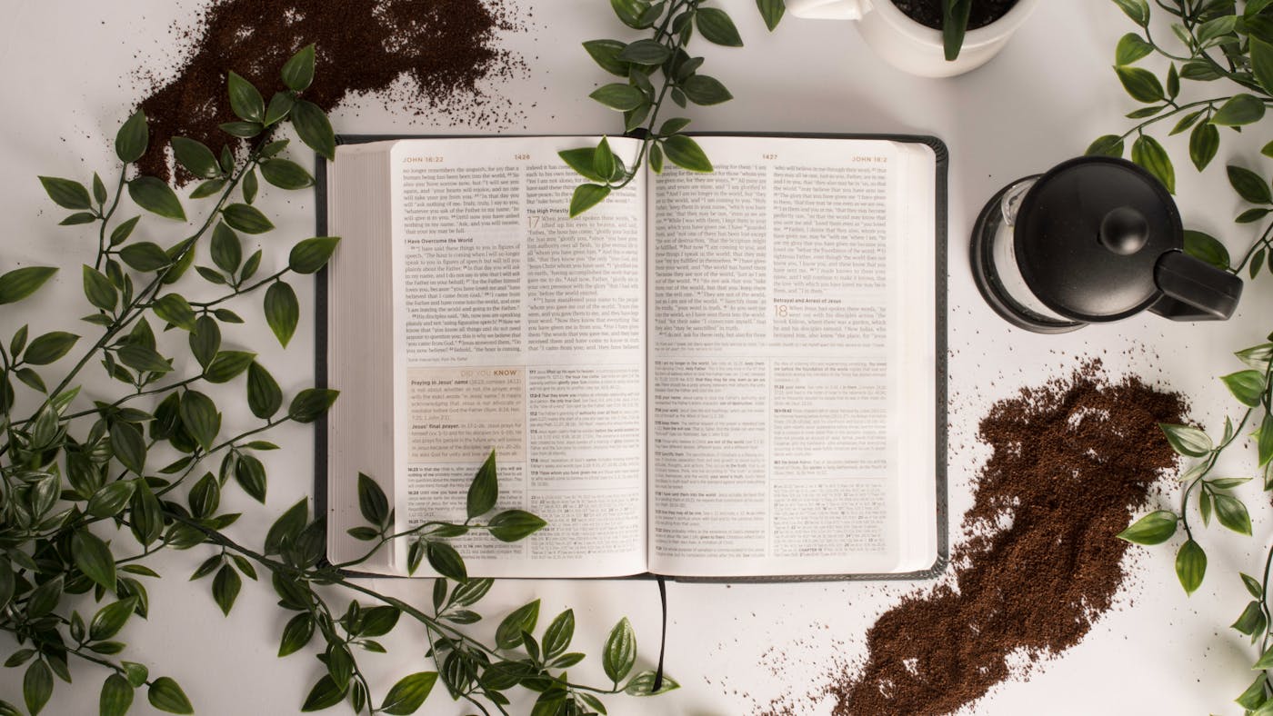 Precept Upon Precept: A Common (and Serious) Problem in Bible Study |  Desiring God