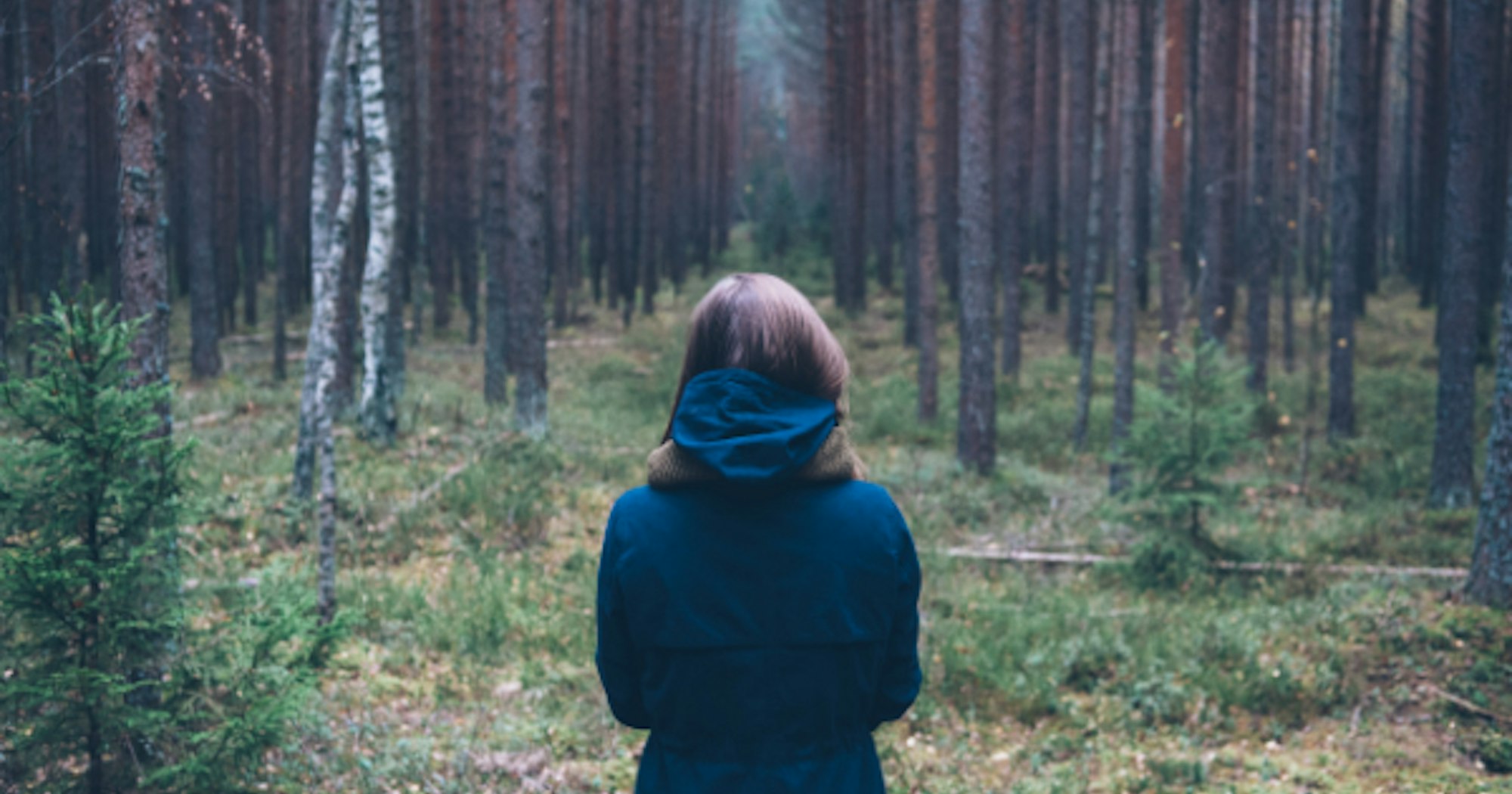 Rejected by Men, Even Our Friends | Desiring God