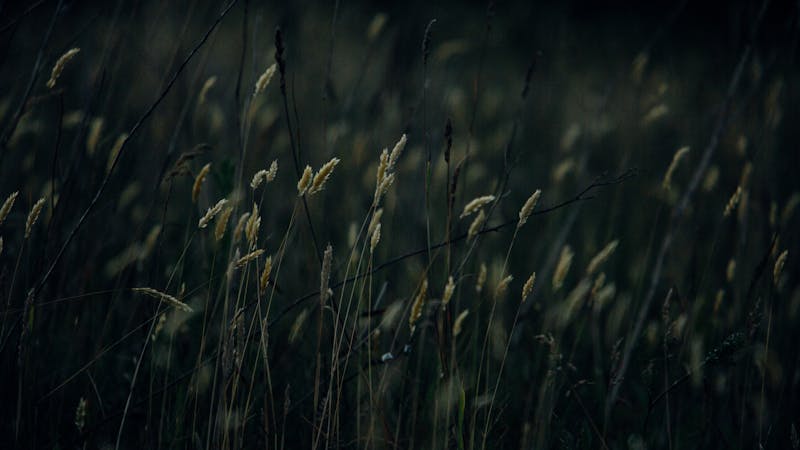 Remember Who You Were Without Christ