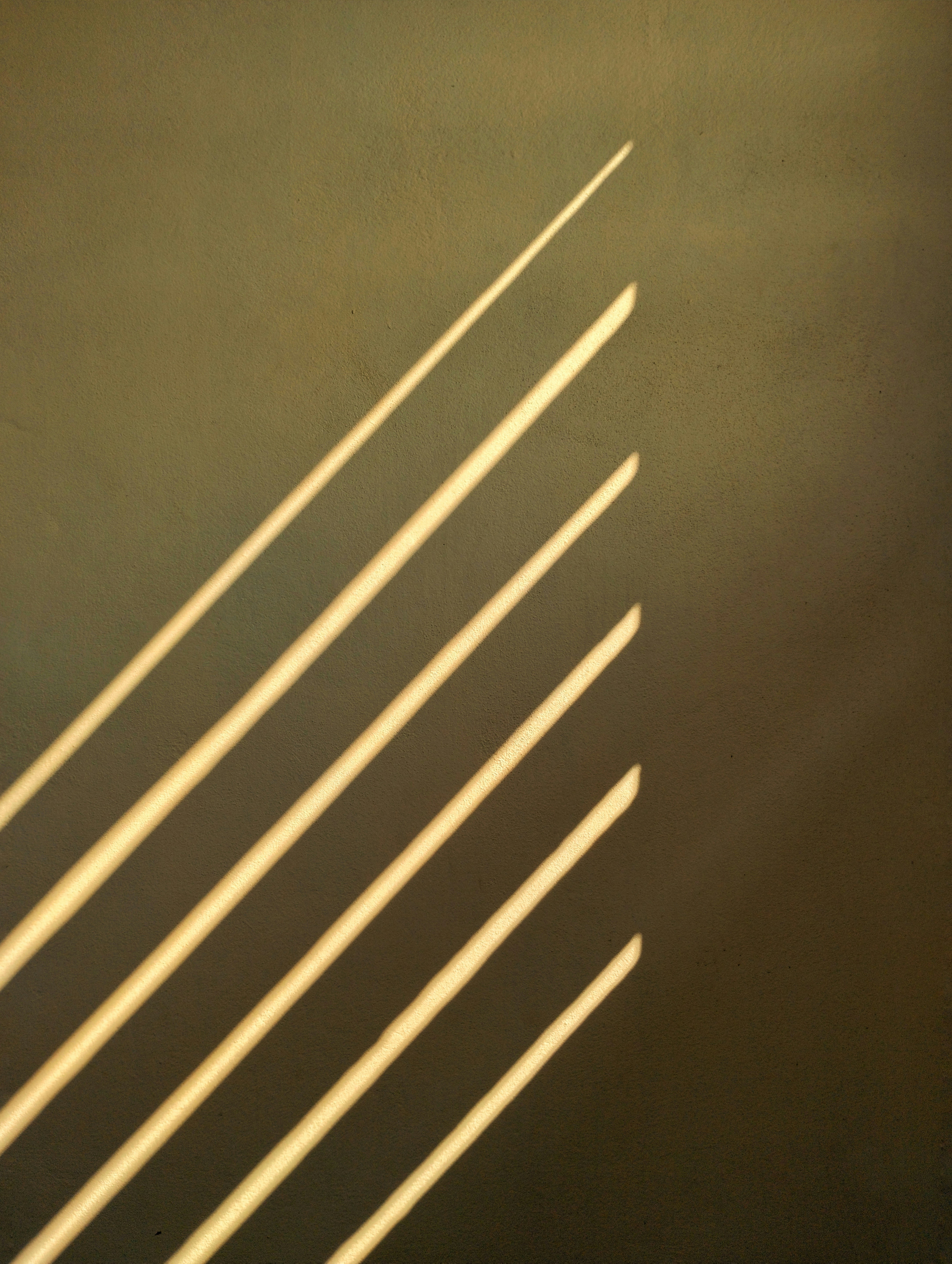 Bright Shadows of the Christ