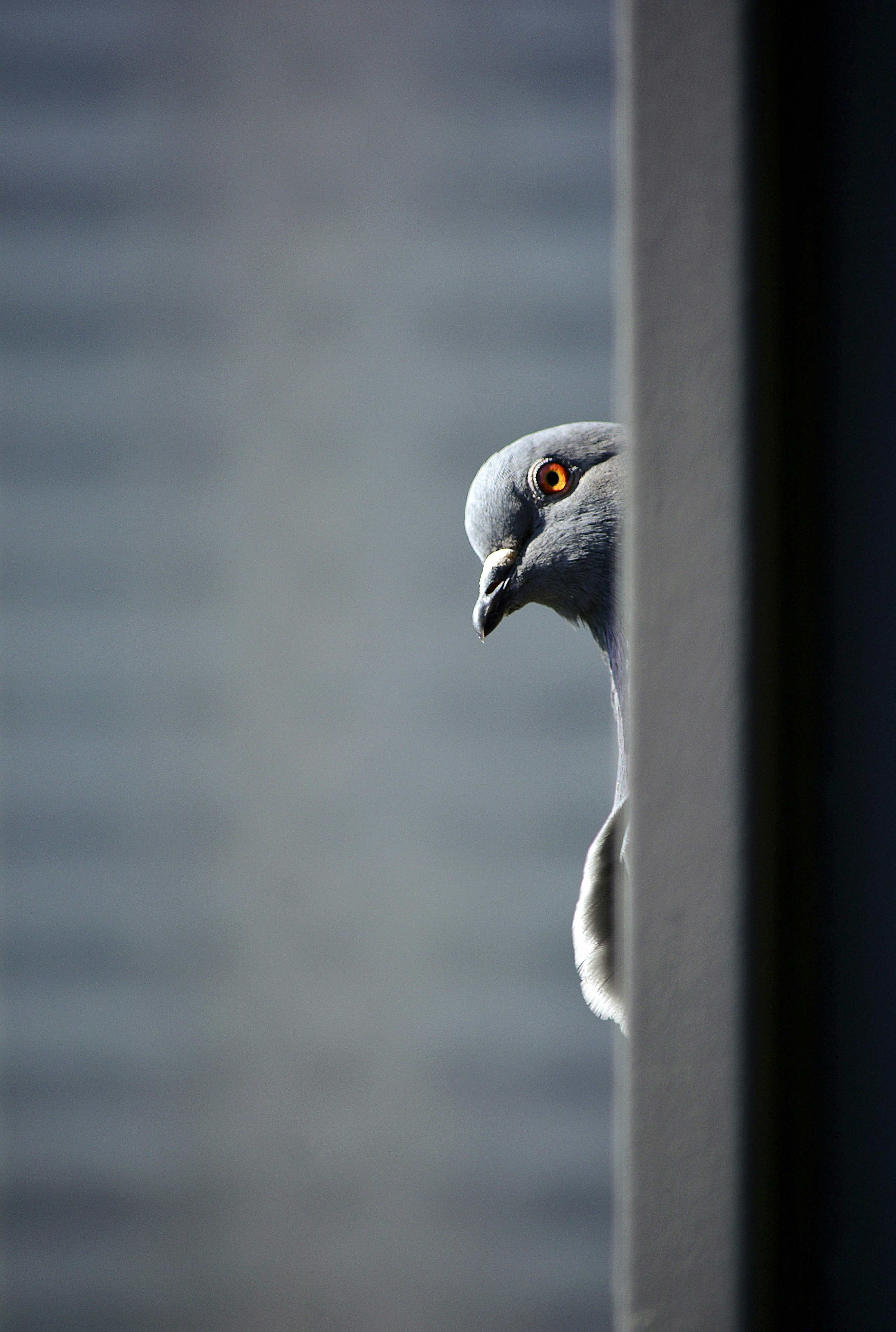 Thou Shalt Not Hide from Neighbors