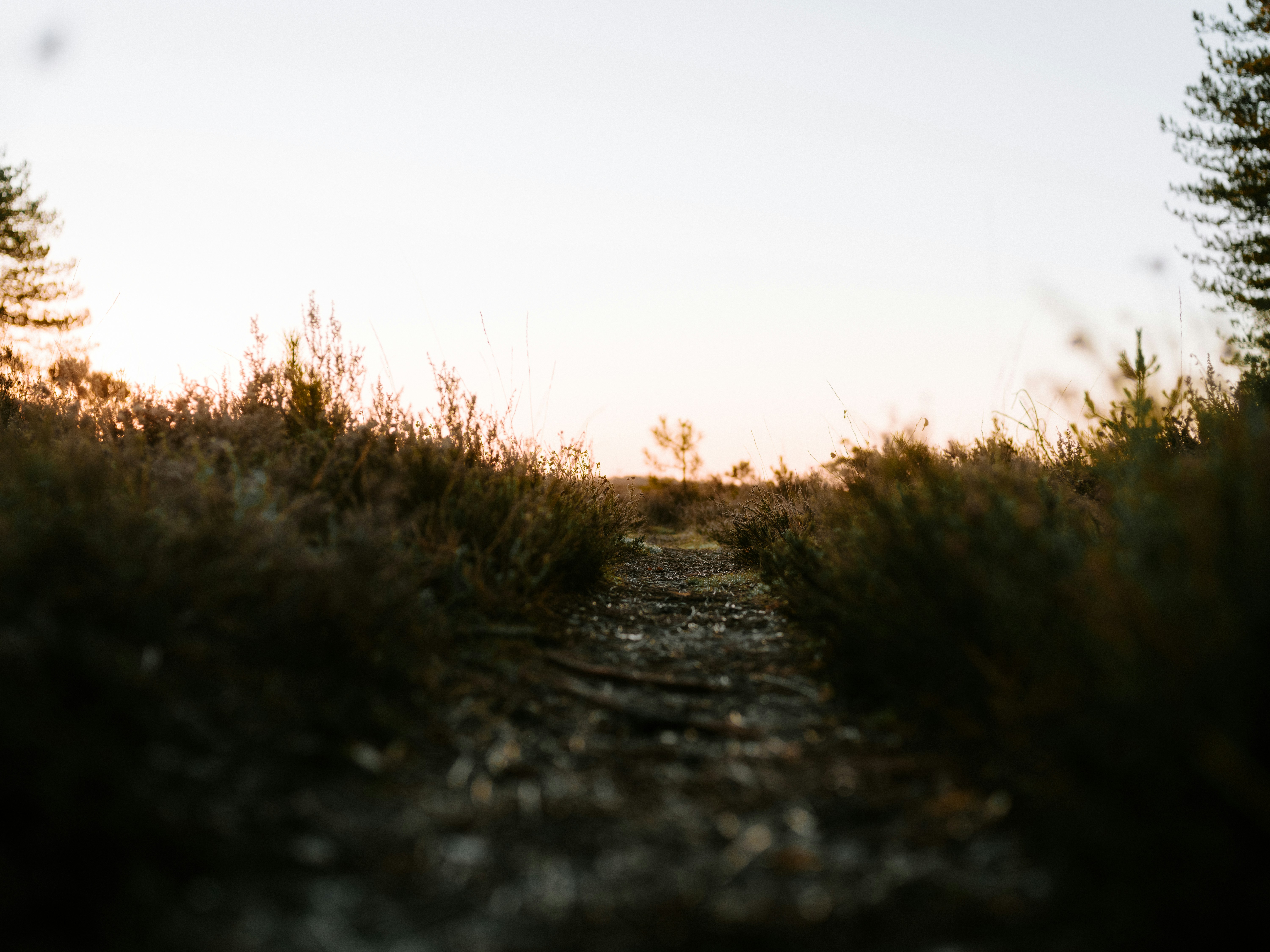 The Gospel Before Jesus Died