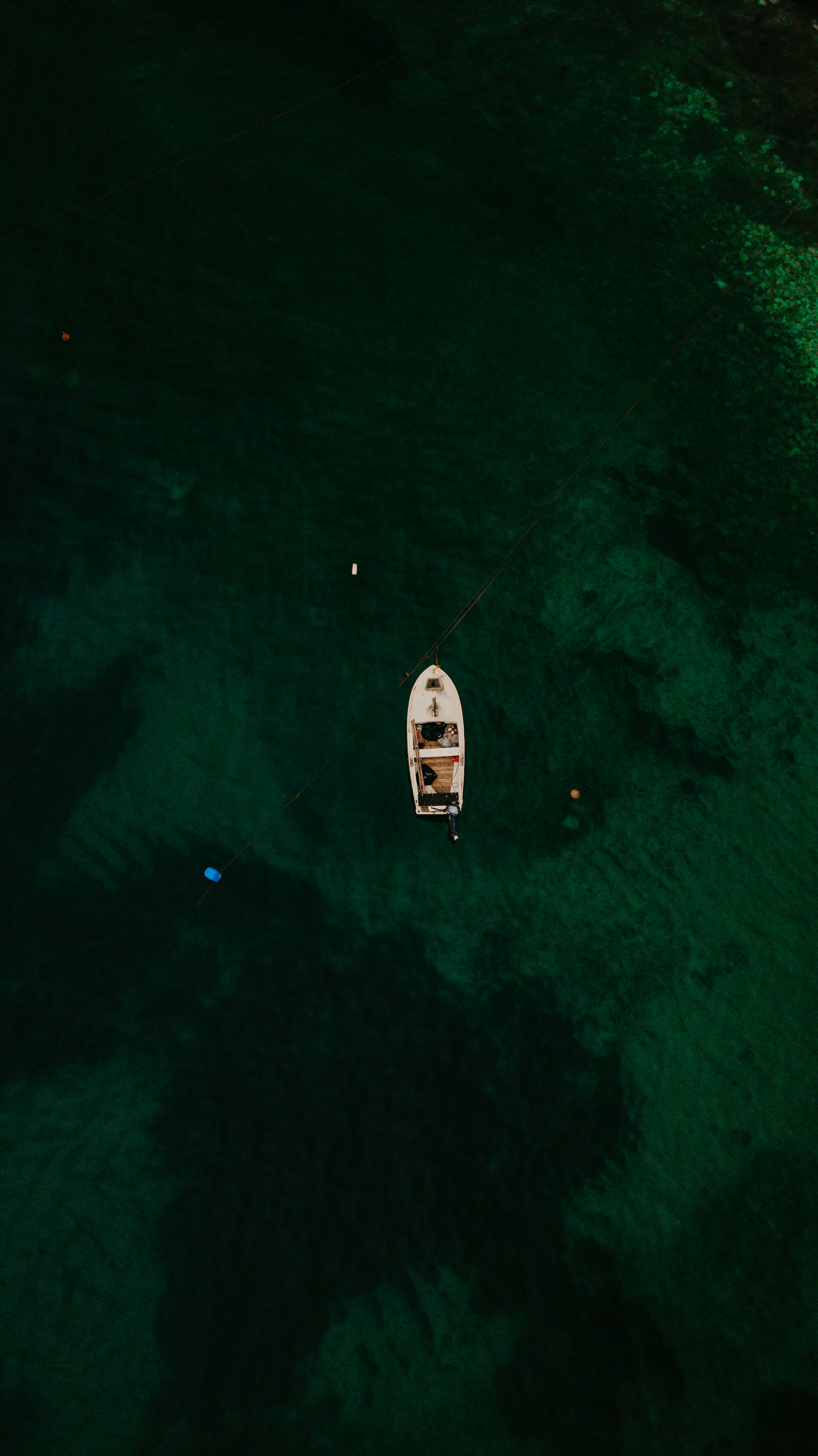 Life on the Seas of Death