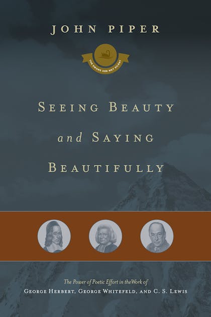 Seeing Beauty and Saying Beautifully book
