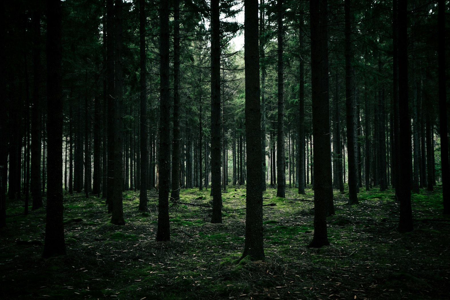 Seeking God Through Doubt: Counsel for a Faith Crisis - Vimarsana News