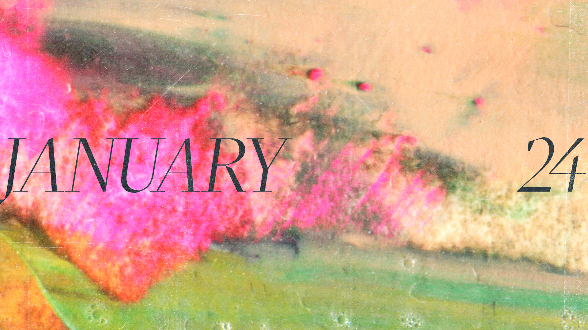 Served in Serving Others