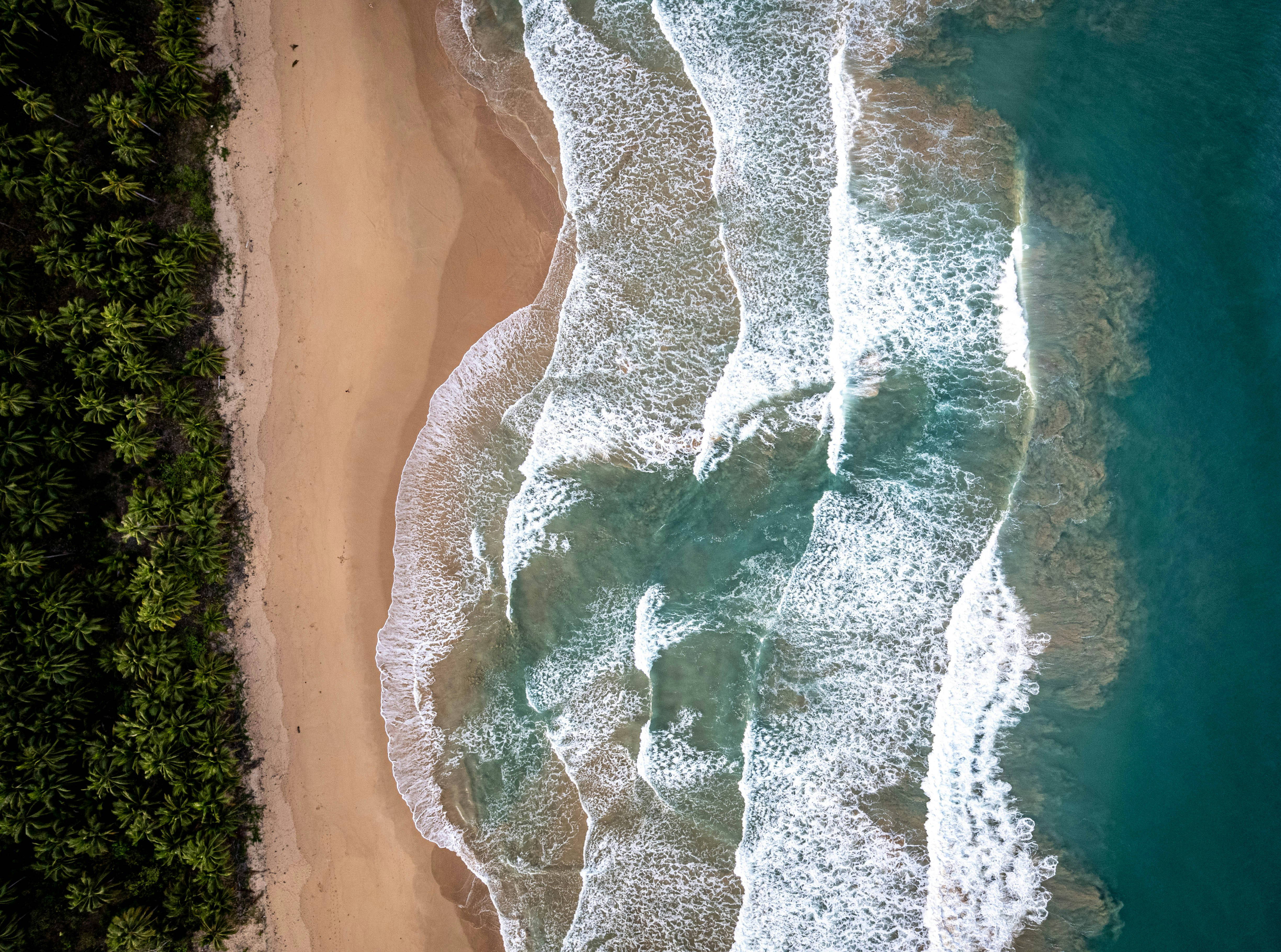 Shipwreck Your Ingratitude