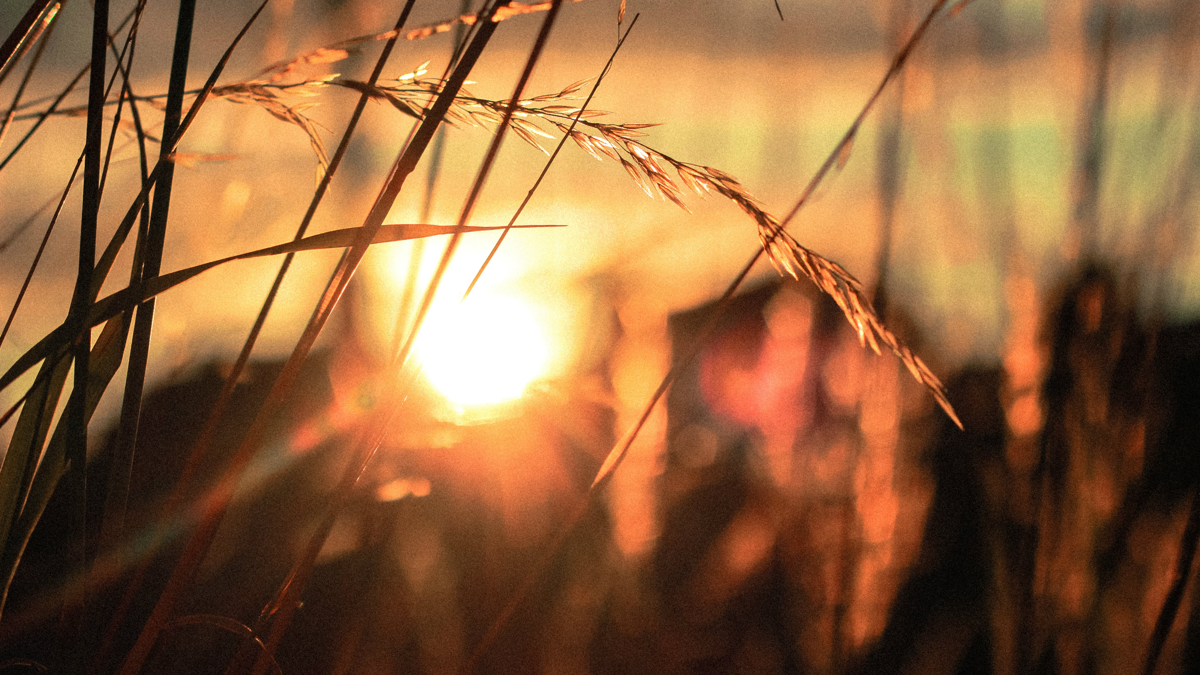 The Gospel in Six Truths