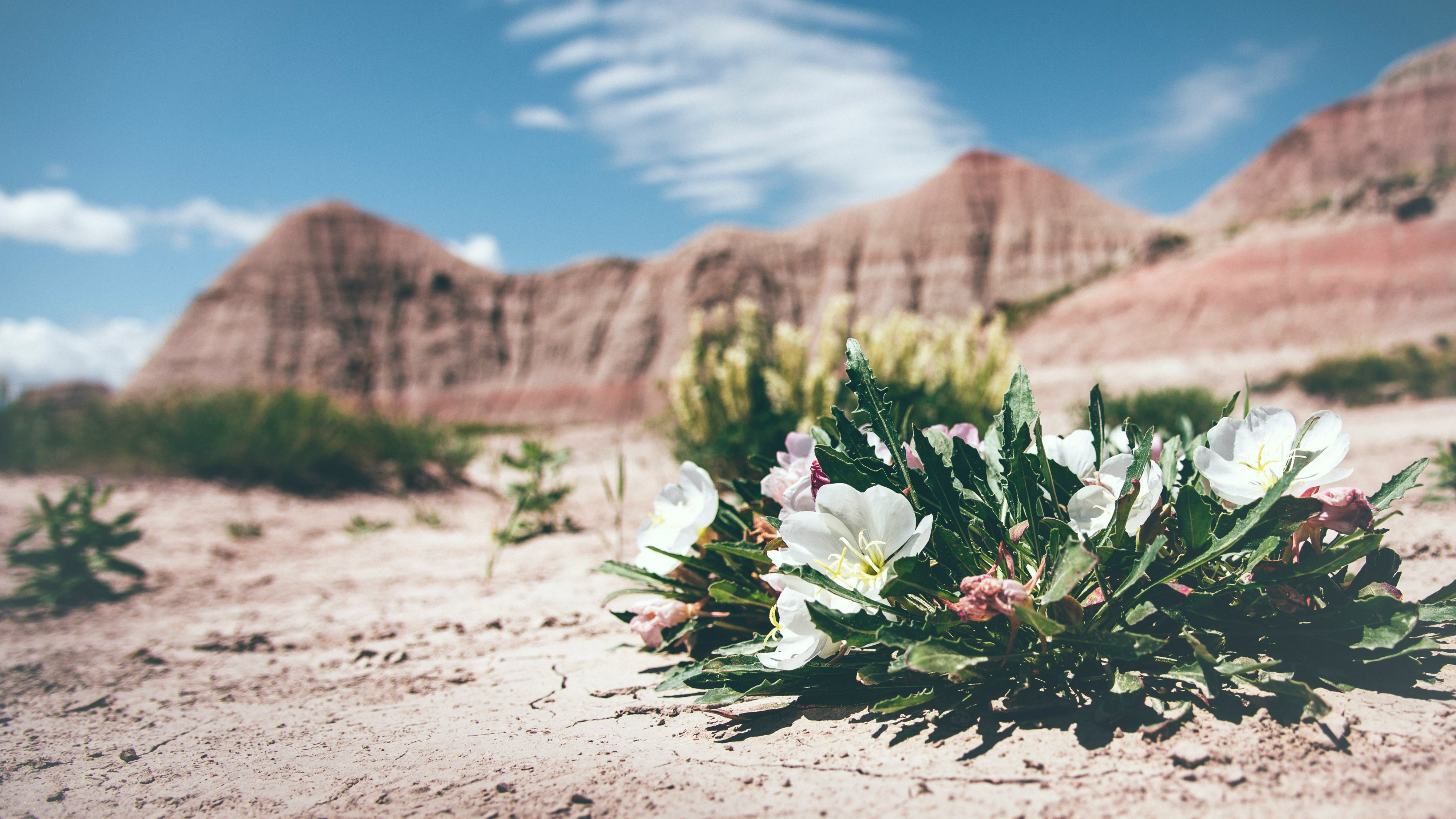 Sorrowful Yet Always Rejoicing