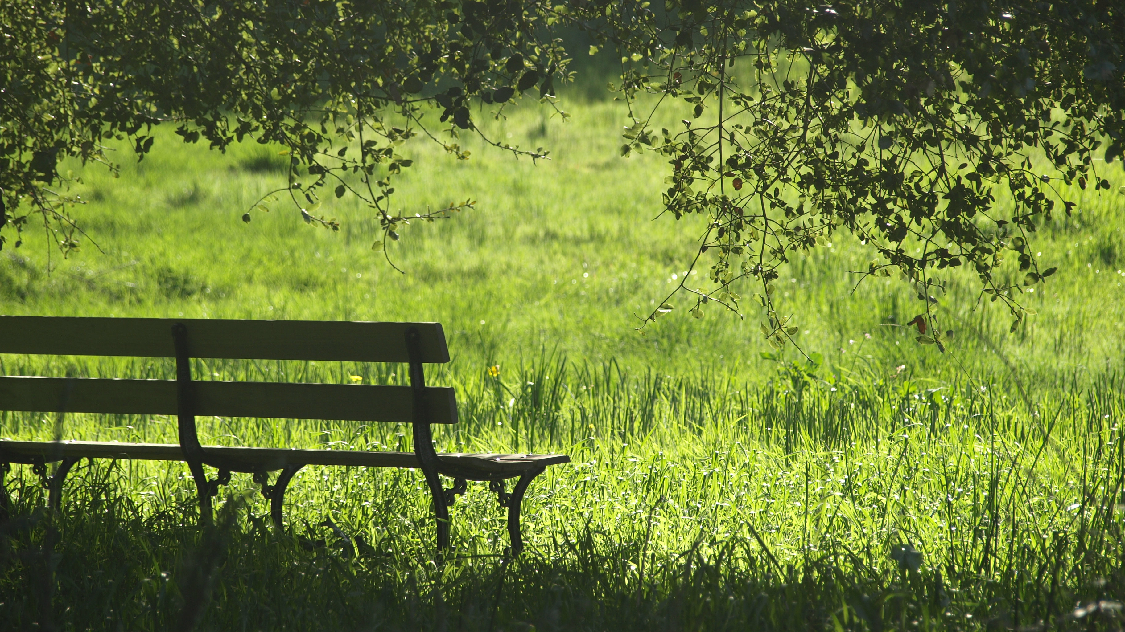 Embrace the Life God Has Given You (Two Minute Clip on Grief)