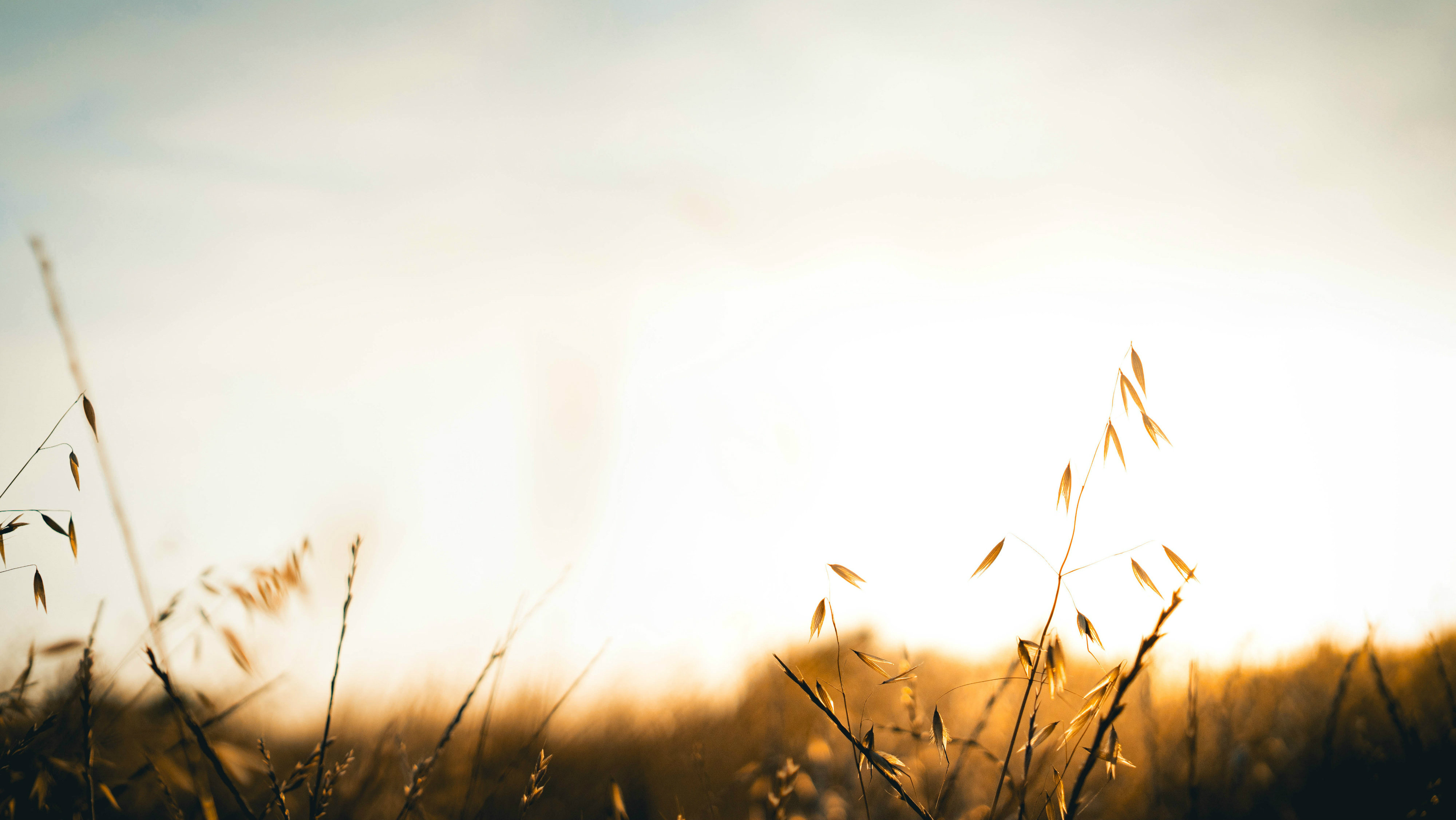 Step into Supernatural Joy