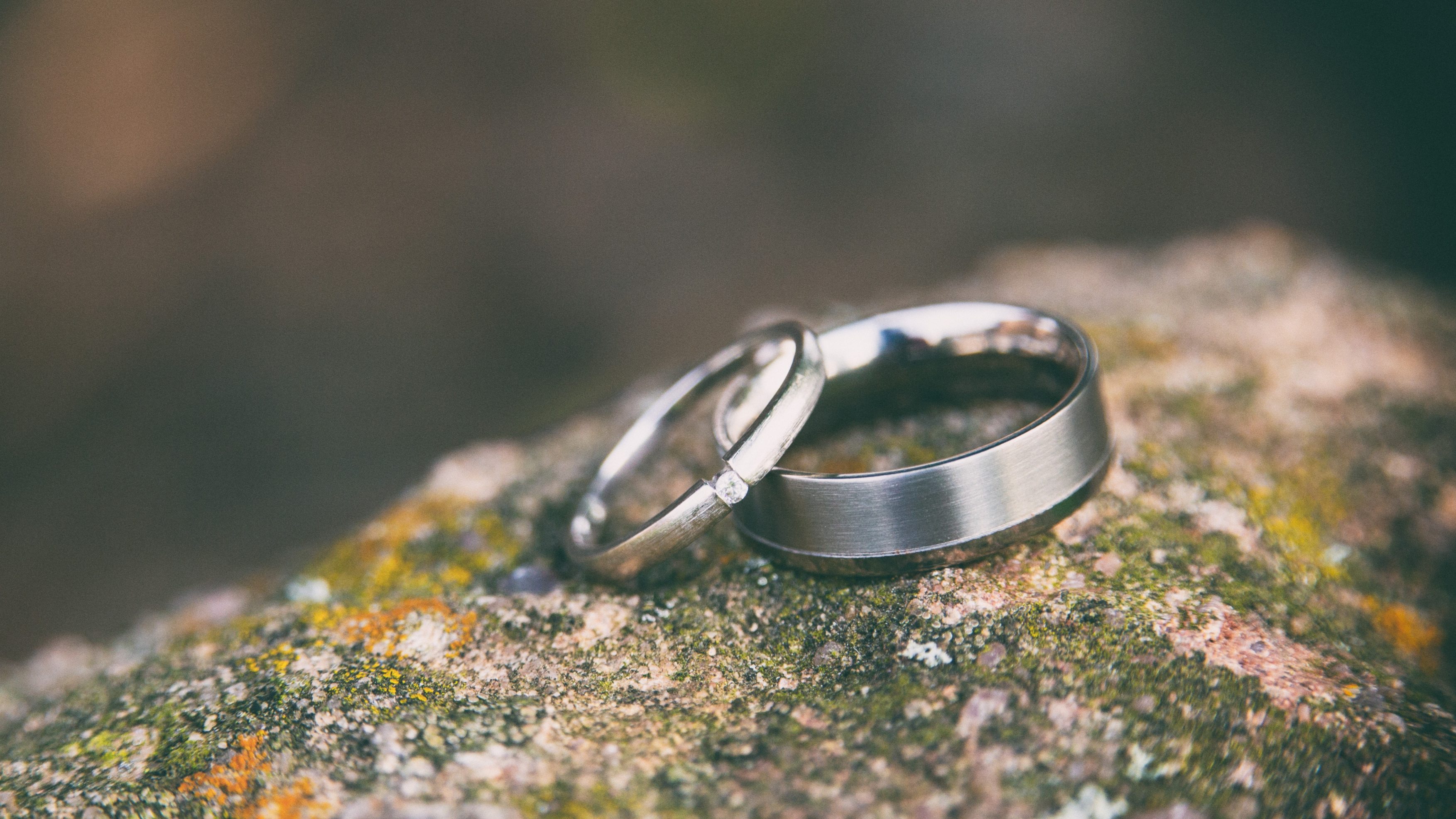 Stripped in Shame, Clothed in Grace