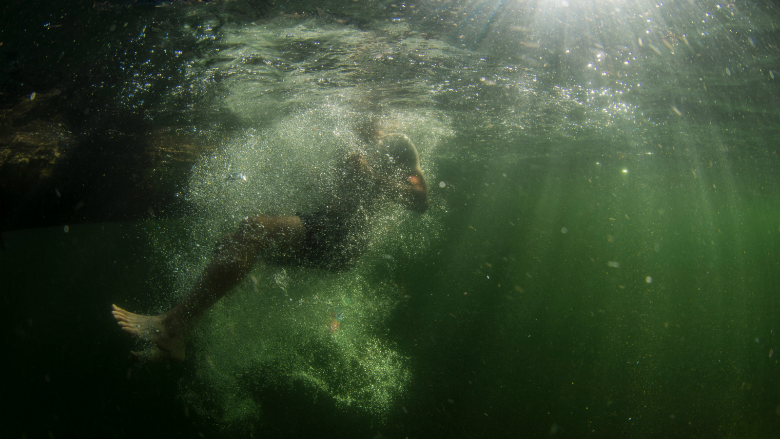 Swim in the Deep End of the Bible