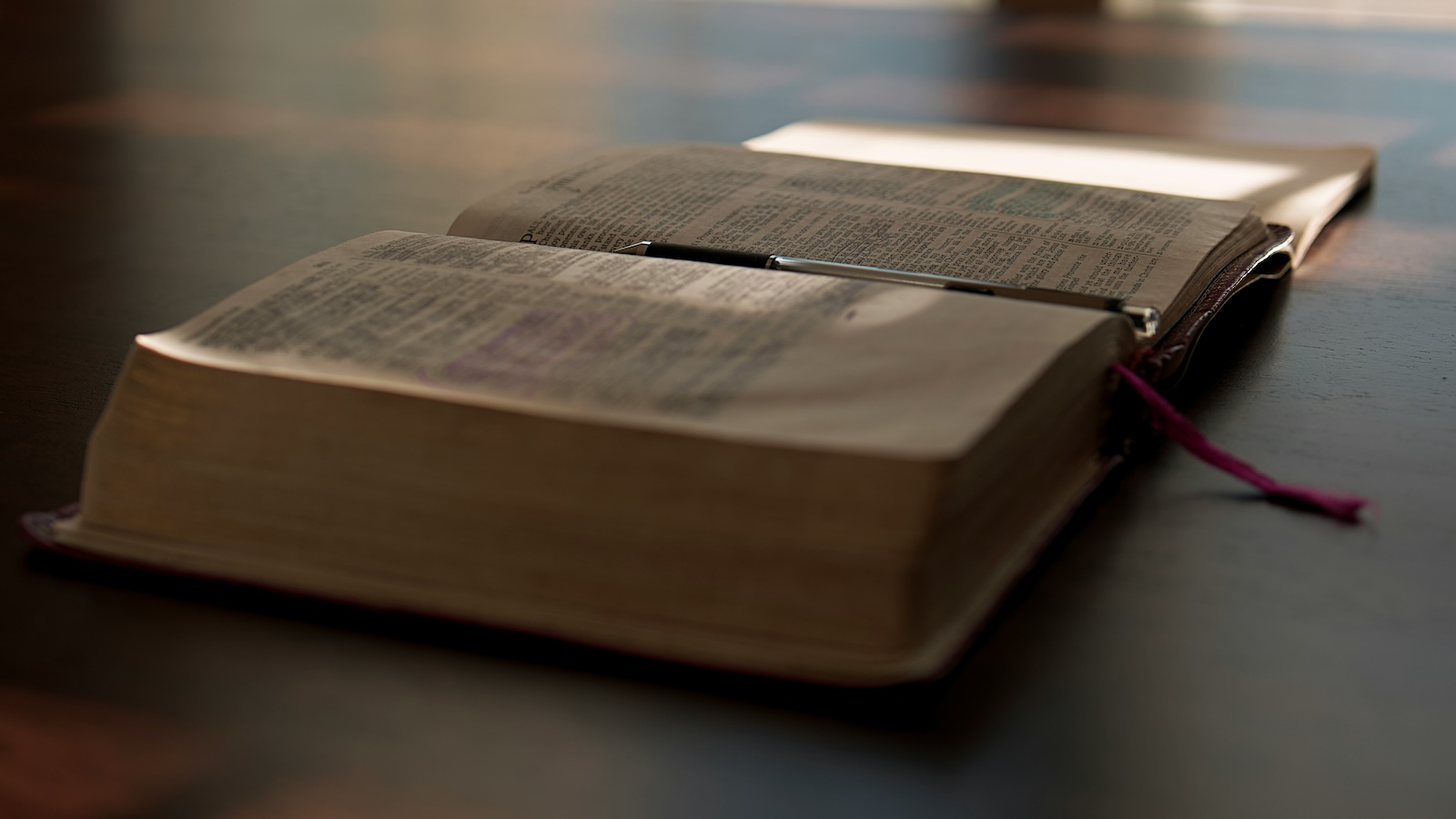 Take Jesus at His Word: Learning from His Love for Scripture