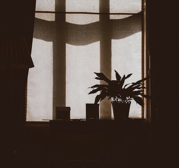 Temptation Comes at the Best Moments