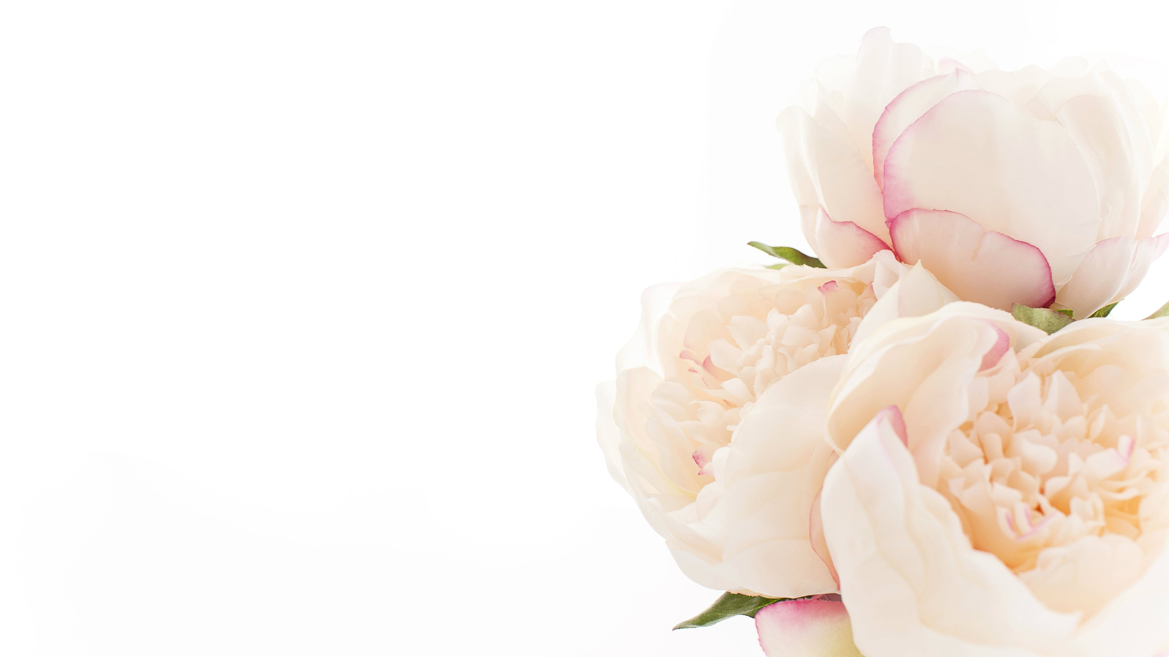 Ten Ways Not to Waste Your Cancer: With David Powlison