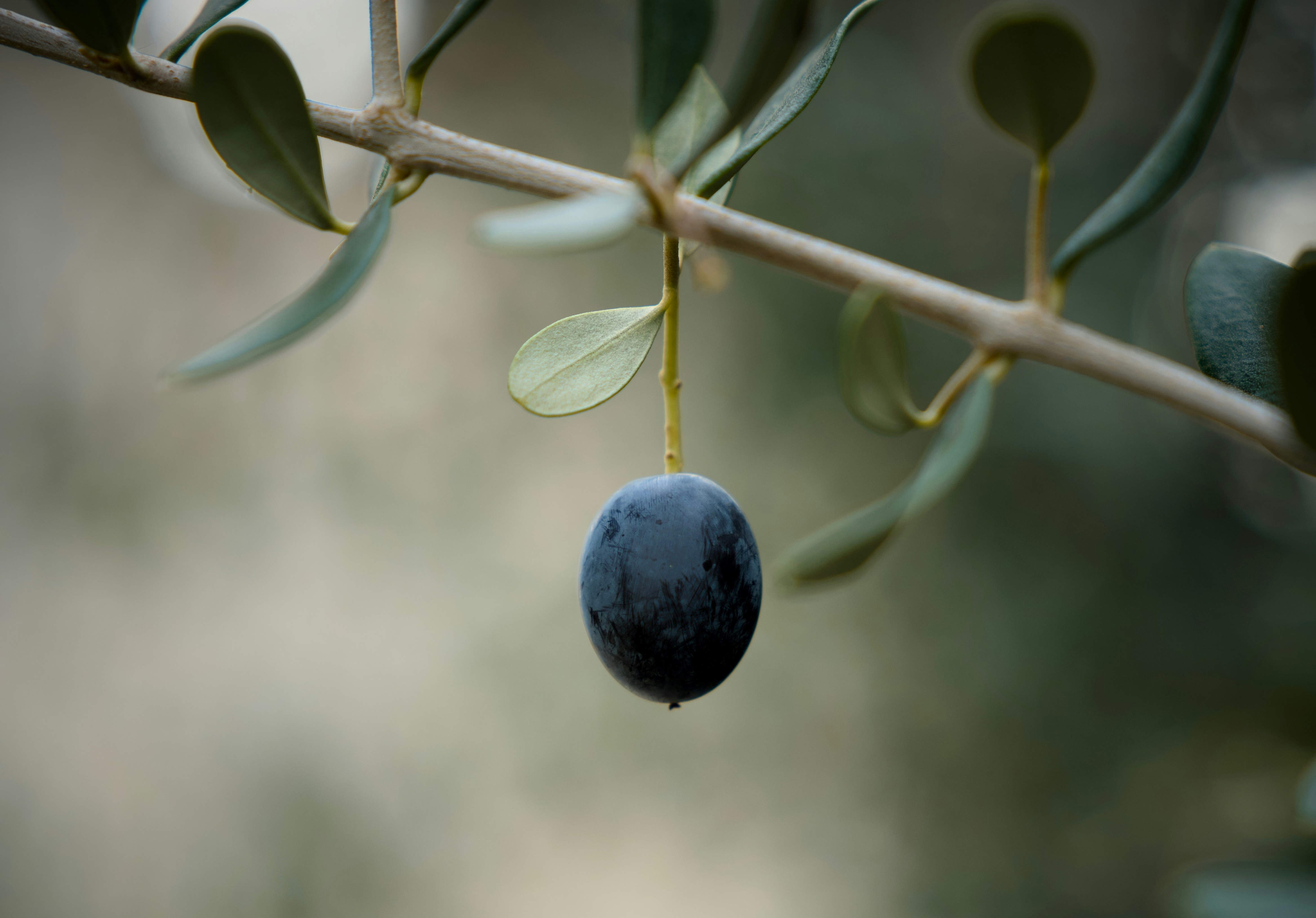 The Agony of Sin and Love