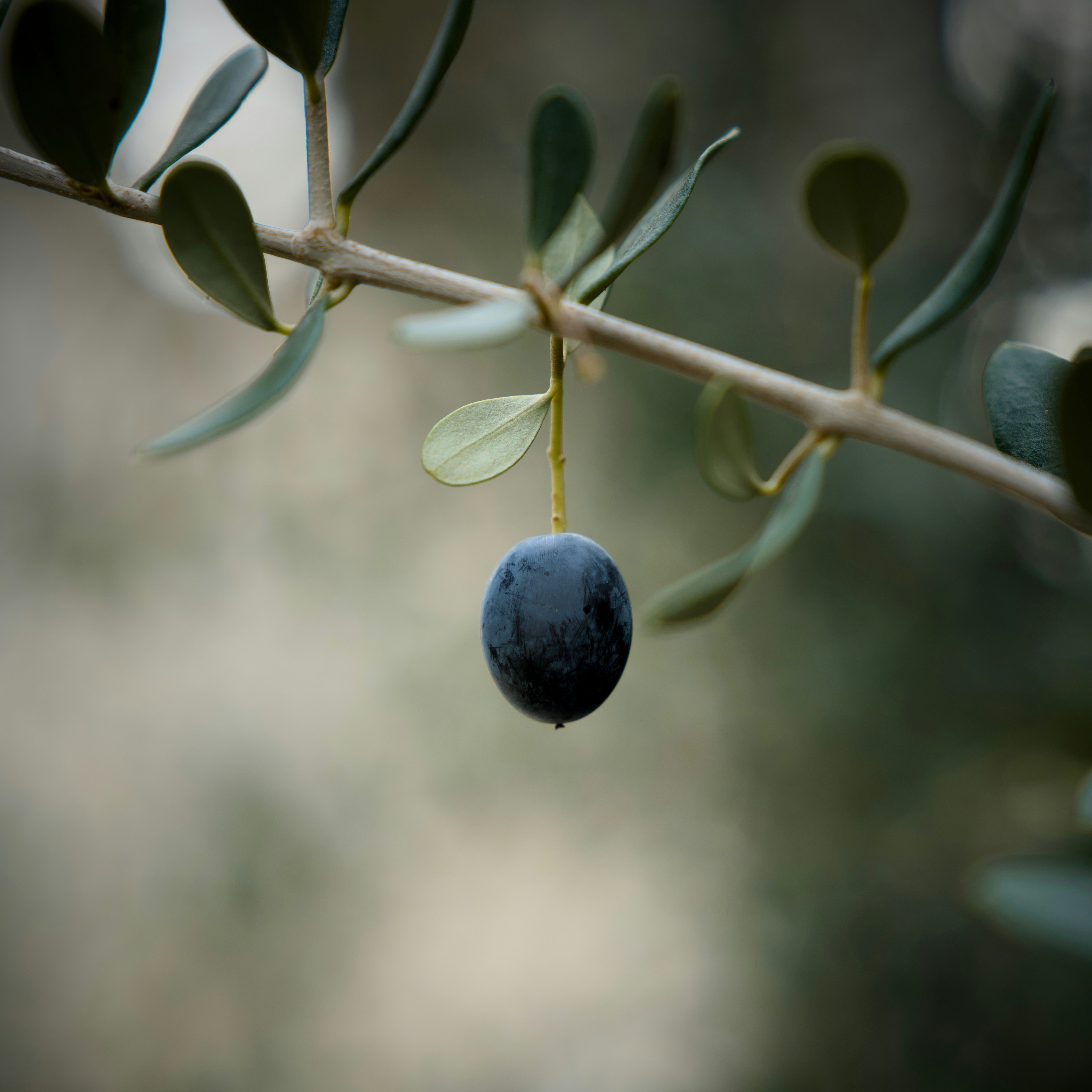 The Agony of Sin and Love