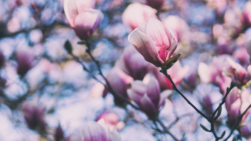 The Beauty and Abuse of Empathy