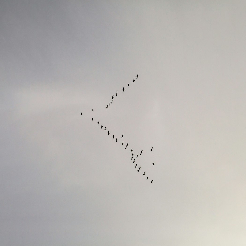 The Blessings of Being Certain: Discovering Freedom By way of ...