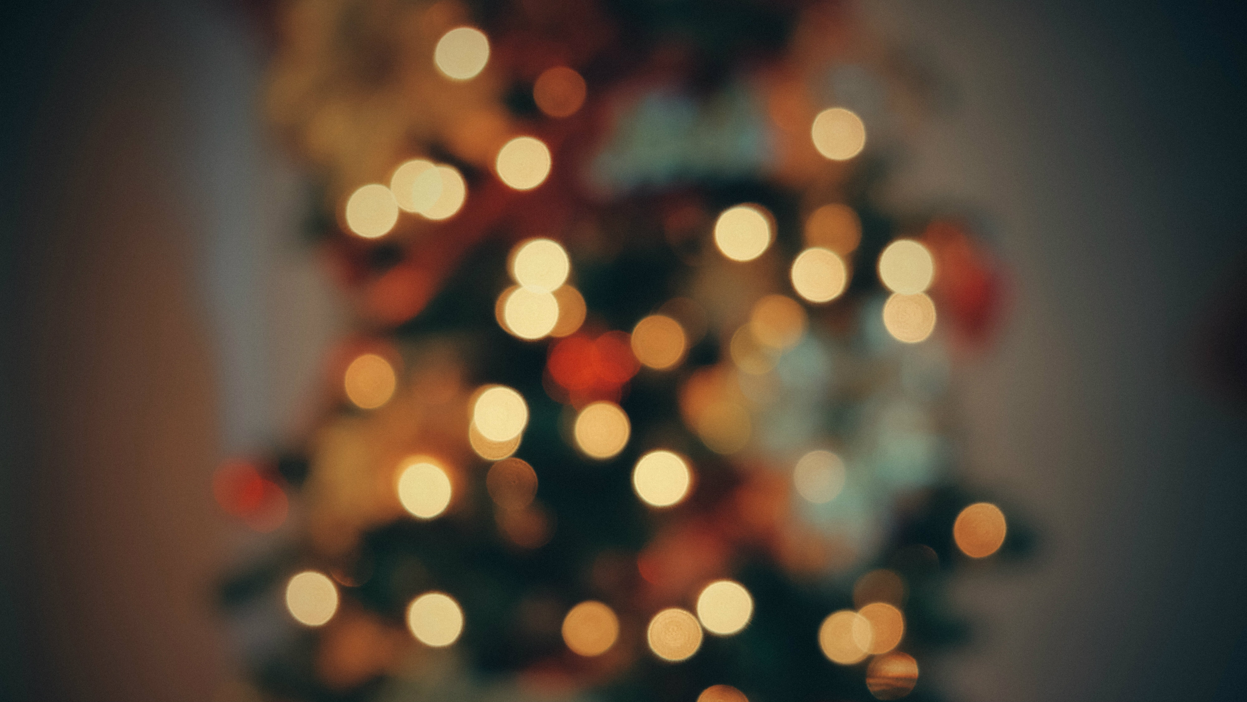 The Child to Be Born Will Be Called Holy — the Son of God