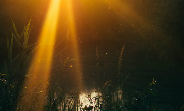 The Glory of God as the Ground of the Mind’s Certainty and the Goal of the Soul’s Satisfaction