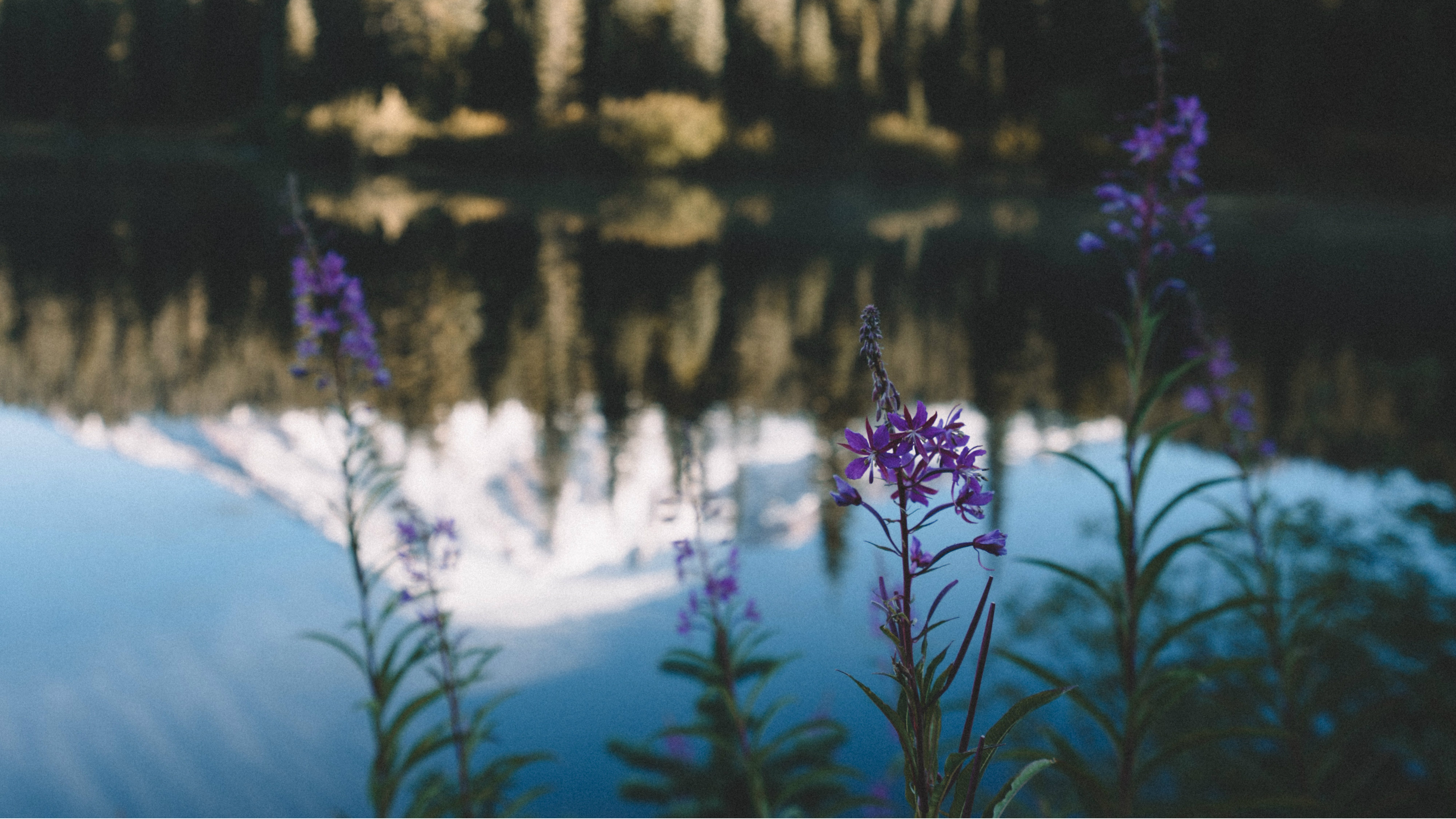 The Gospel Is More Than Just Forgiveness