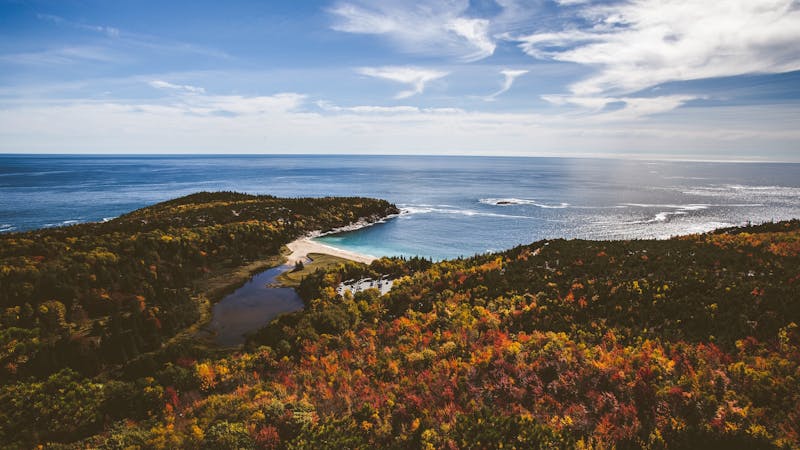 The Gravity of Gratitude The Gravity of Gratitude