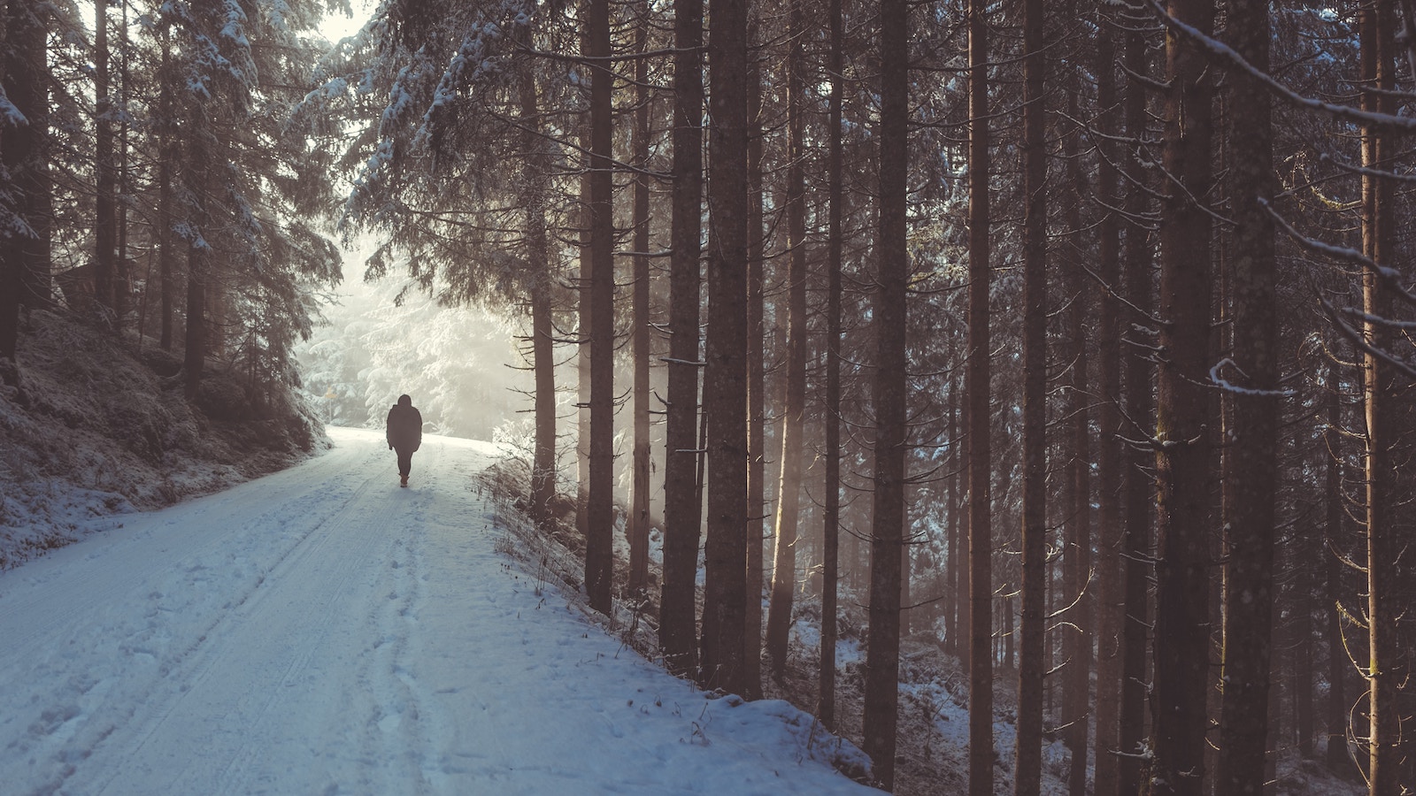 The Leading of the Lord in Personal Evangelism